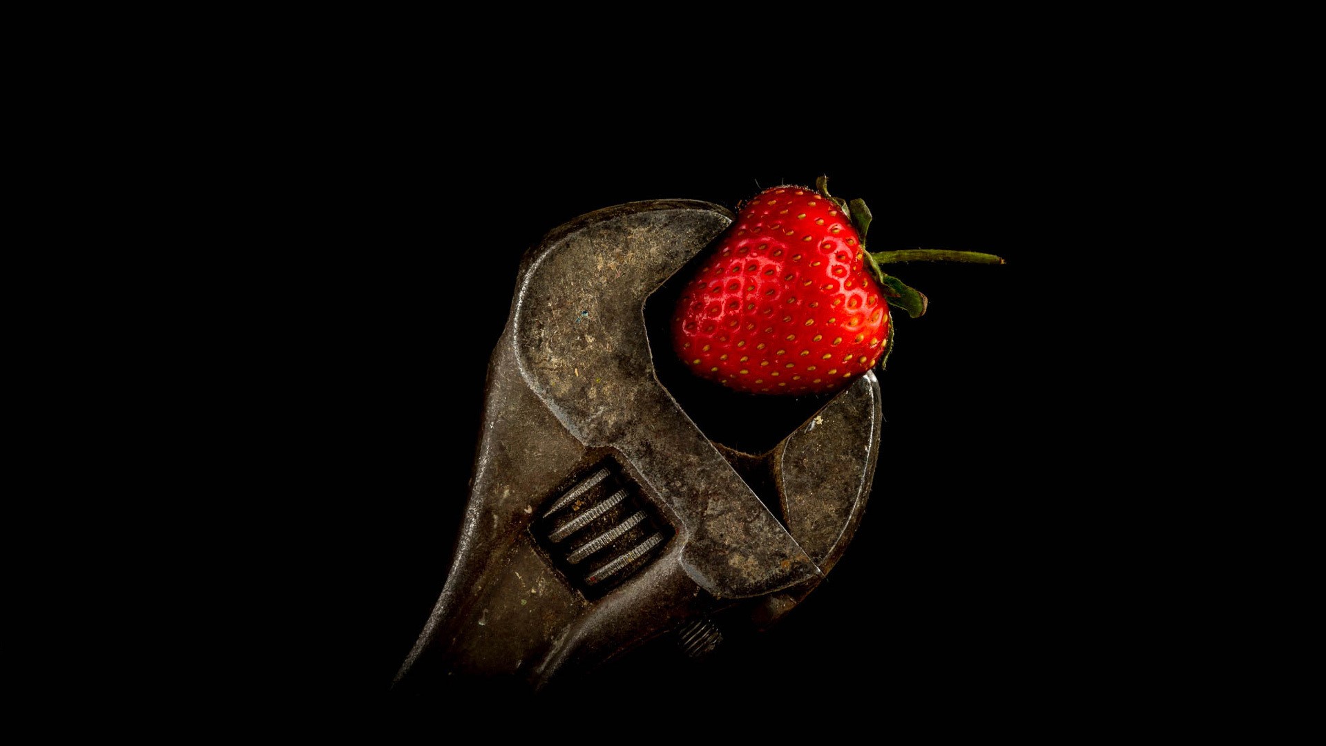 Strawberry held by a rusty adjustable wrench HD Wallpaper