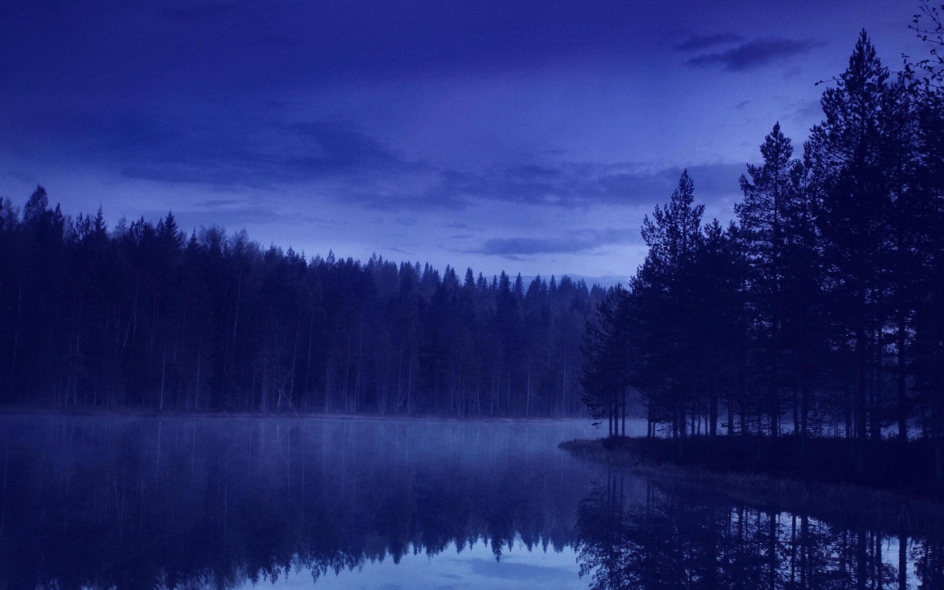 Dark forest reflected in a misty lake at dusk HD Wallpaper