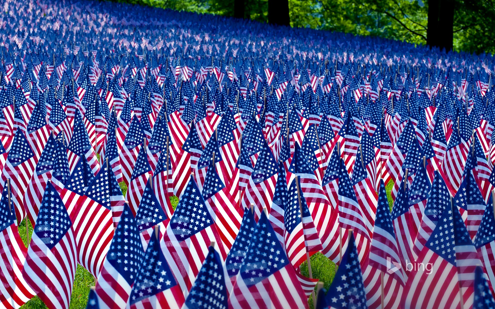 Field of American Flags HD Wallpaper