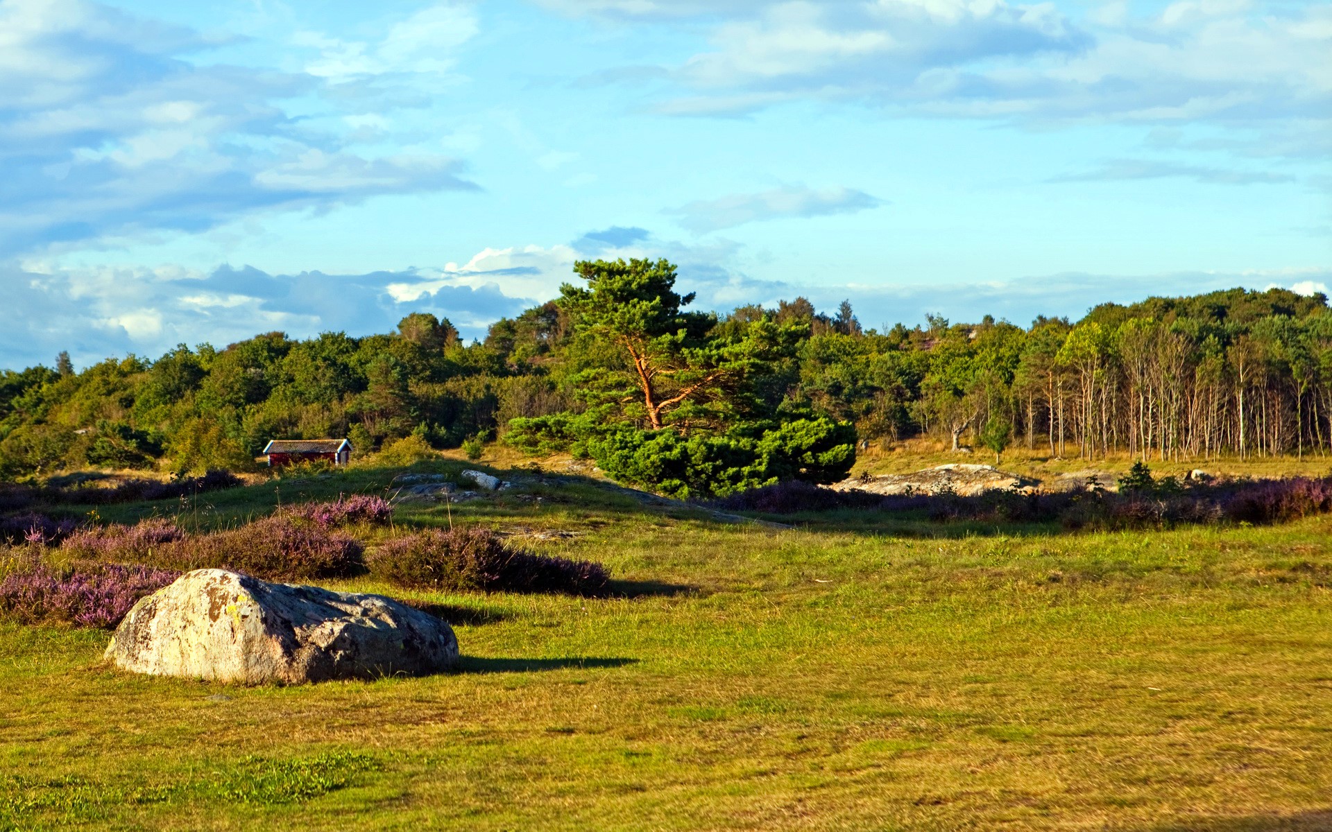 A grassy field with a large rock and a small red cabin in Sweden HD Wallpaper