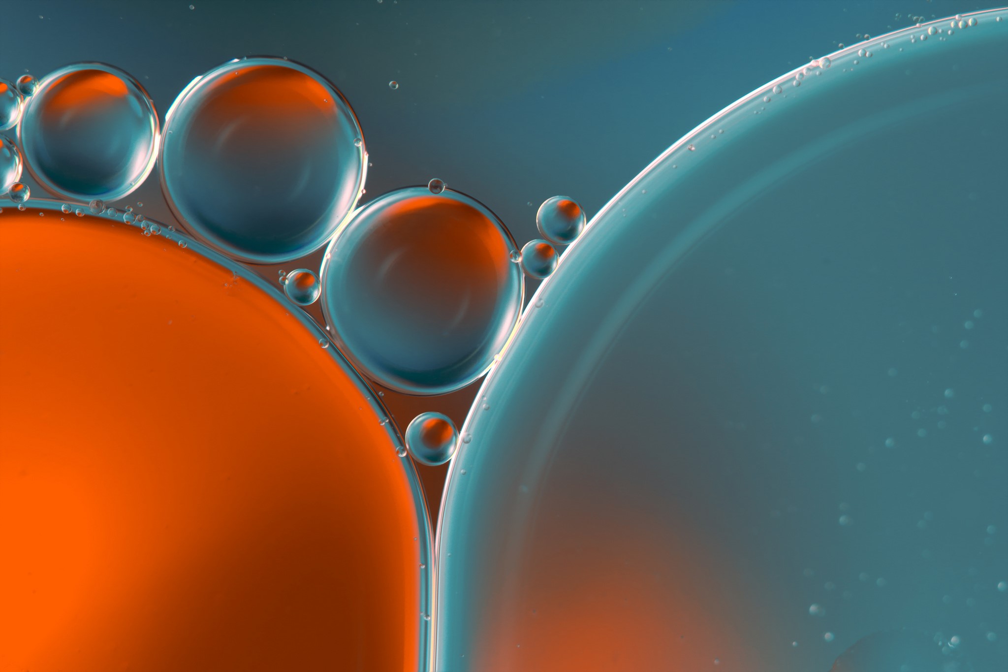 Oil and water drops macro photography HD Wallpaper