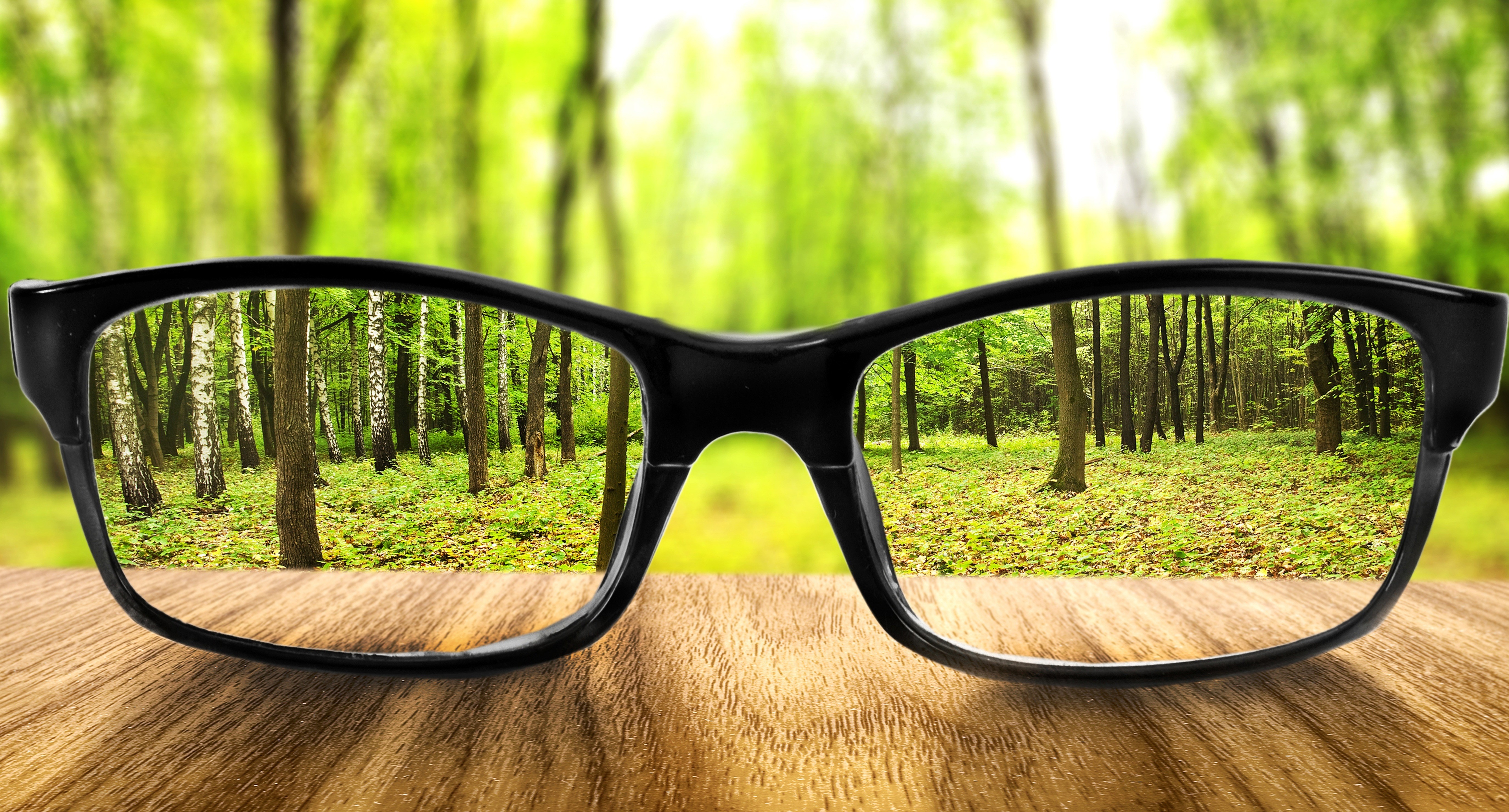 Glasses reflecting a forest scene HD Wallpaper