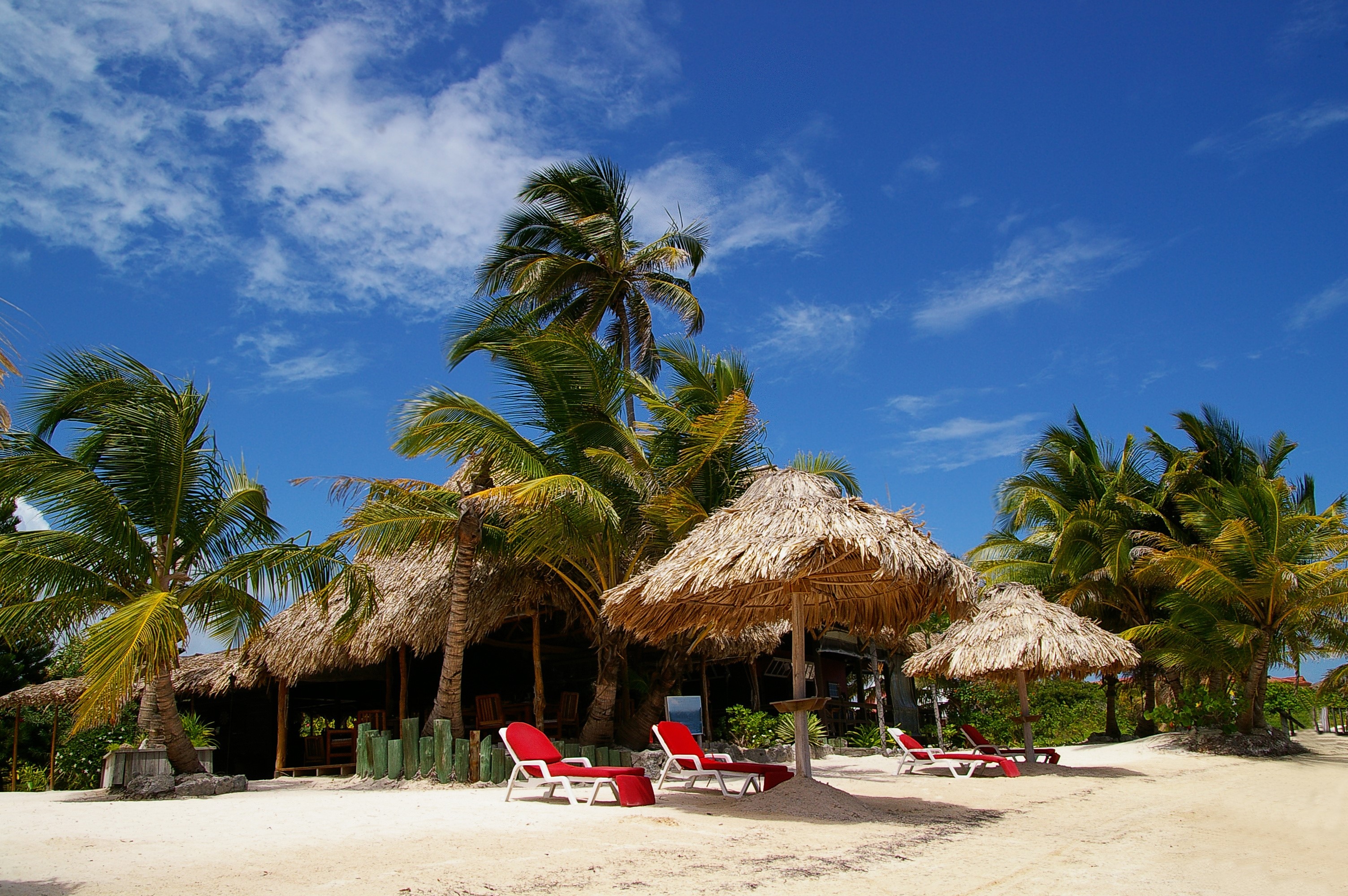 Tropical beach with palm trees and sunloungers HD Wallpaper