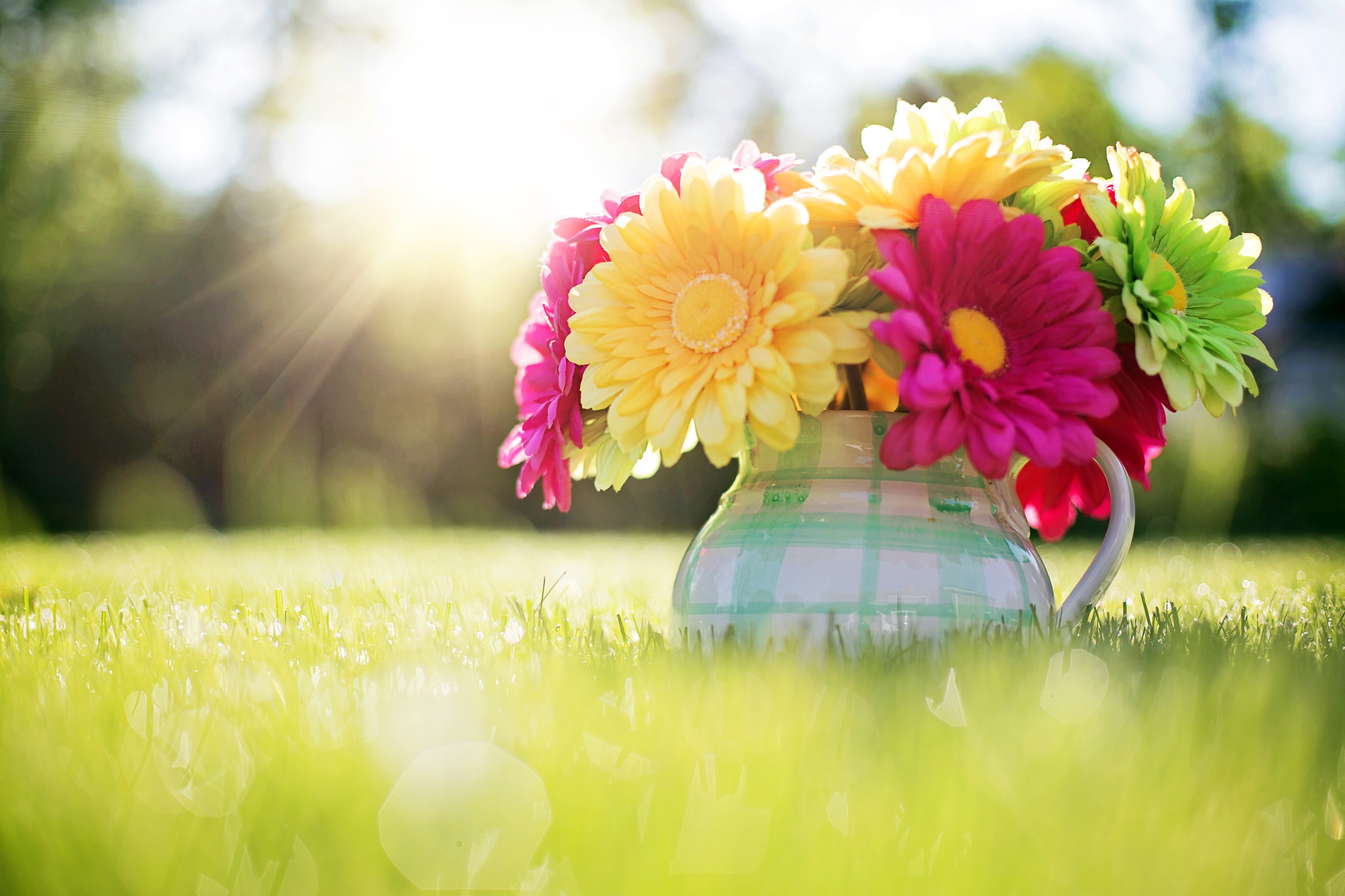 Colorful Gerberas in a vase on grass HD Wallpaper