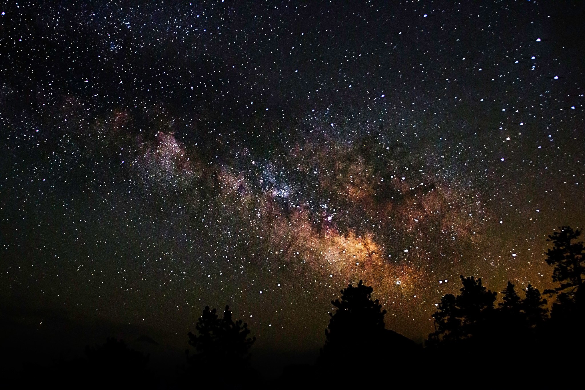 The Milky Way Galaxy over a silhouetted forest HD Wallpaper