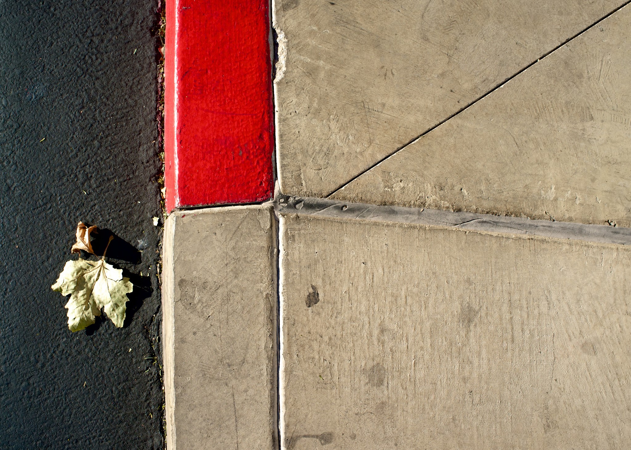 Leaf on asphalt next to red curb and concrete sidewalk HD Wallpaper