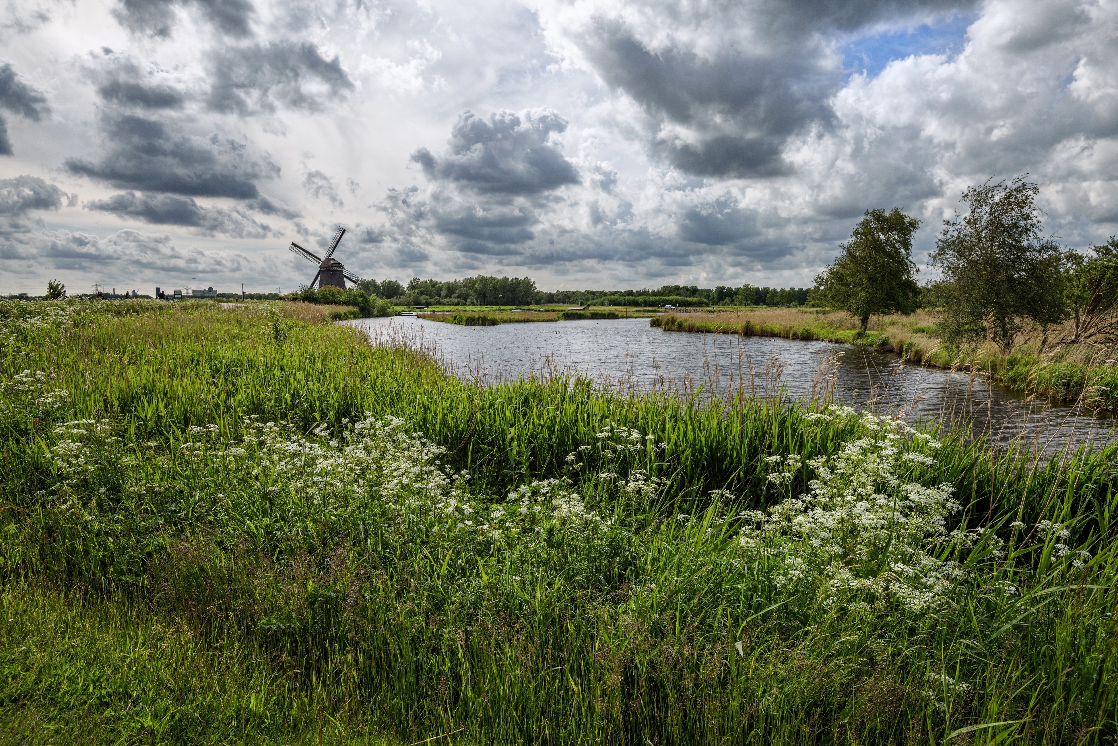 Windmill and river in Elswout, Netherlands HD Wallpaper