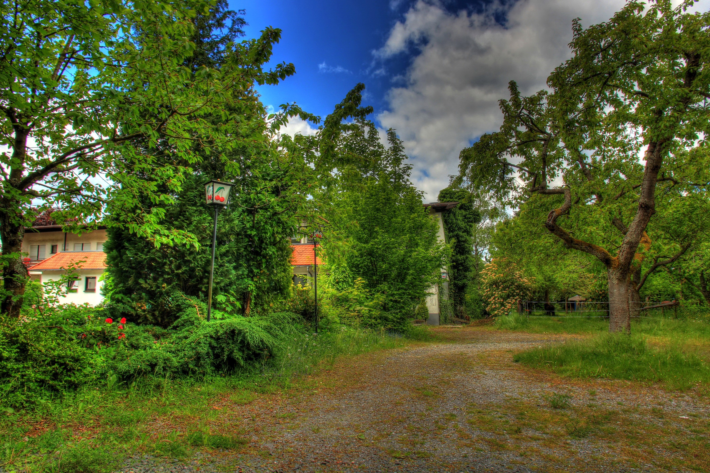 Park with trees and buildings in Wetzlar, Germany HD Wallpaper