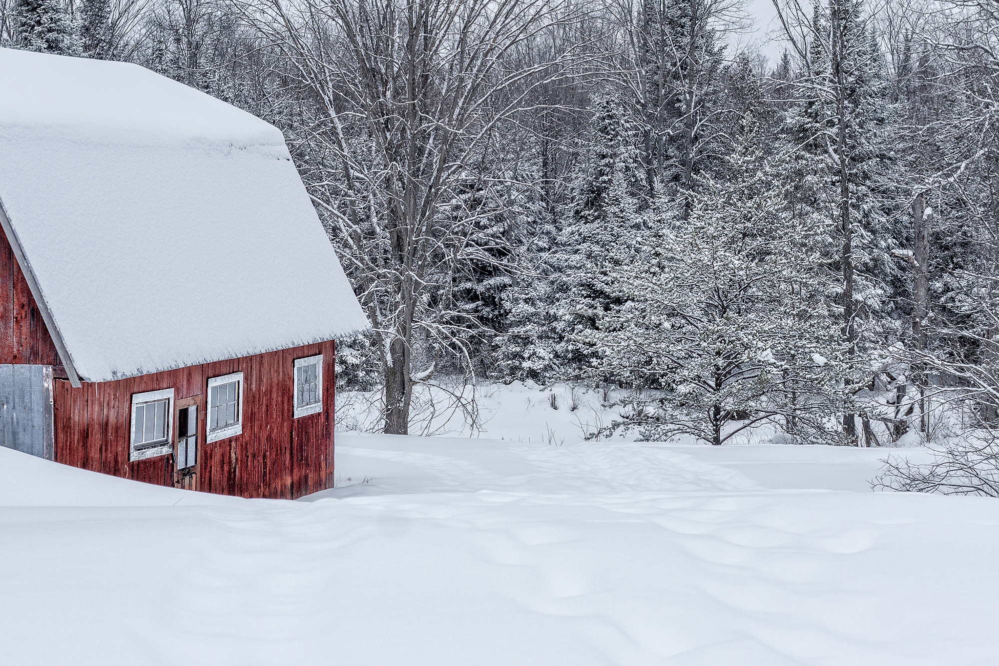 Red barn in a snowy forest landscape HD Wallpaper