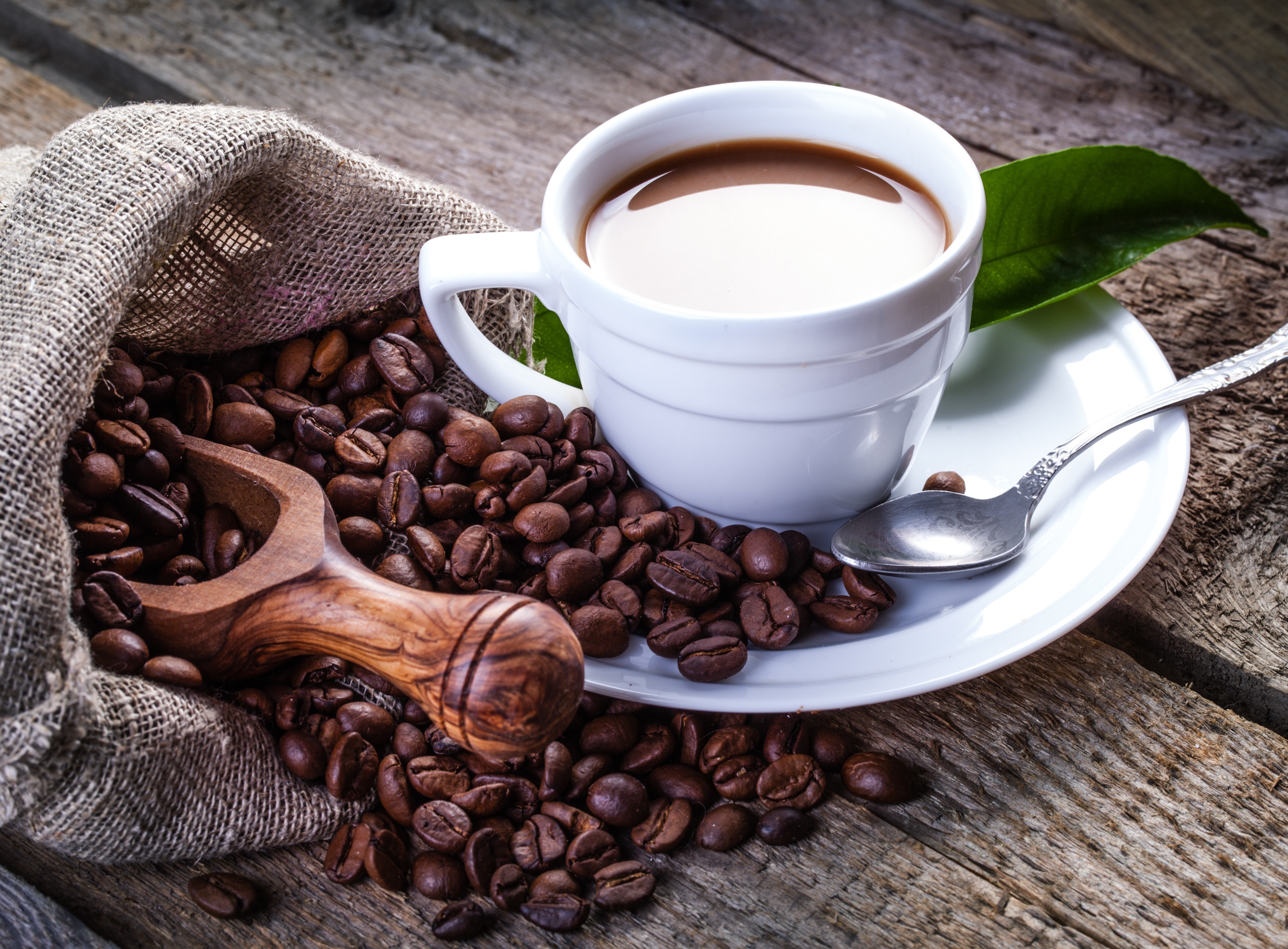 Coffee beans in a burlap sack with a cup of coffee HD Wallpaper