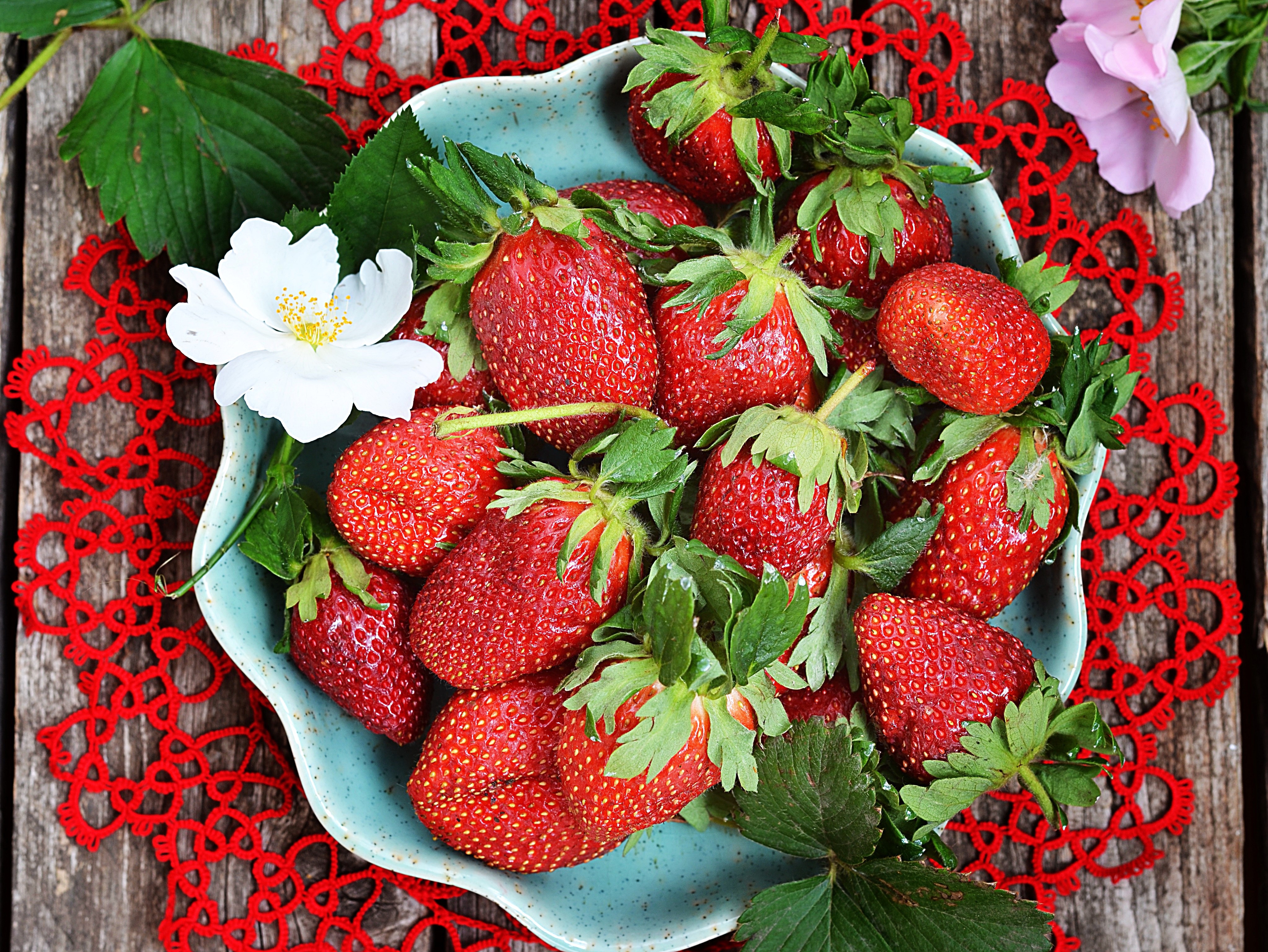 Strawberries in a blue bowl with flowers HD Wallpaper