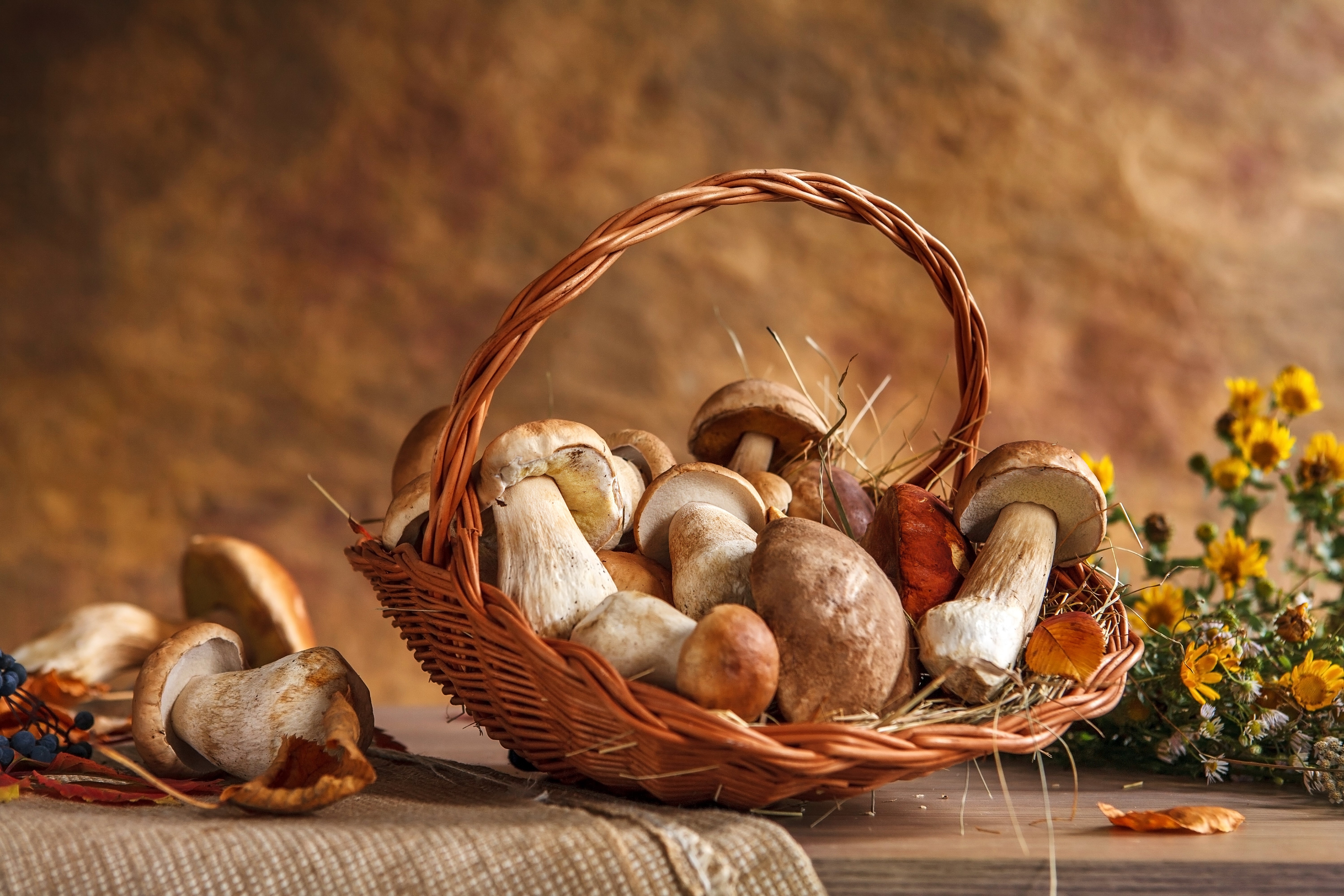 Mushrooms in a wicker basket HD Wallpaper