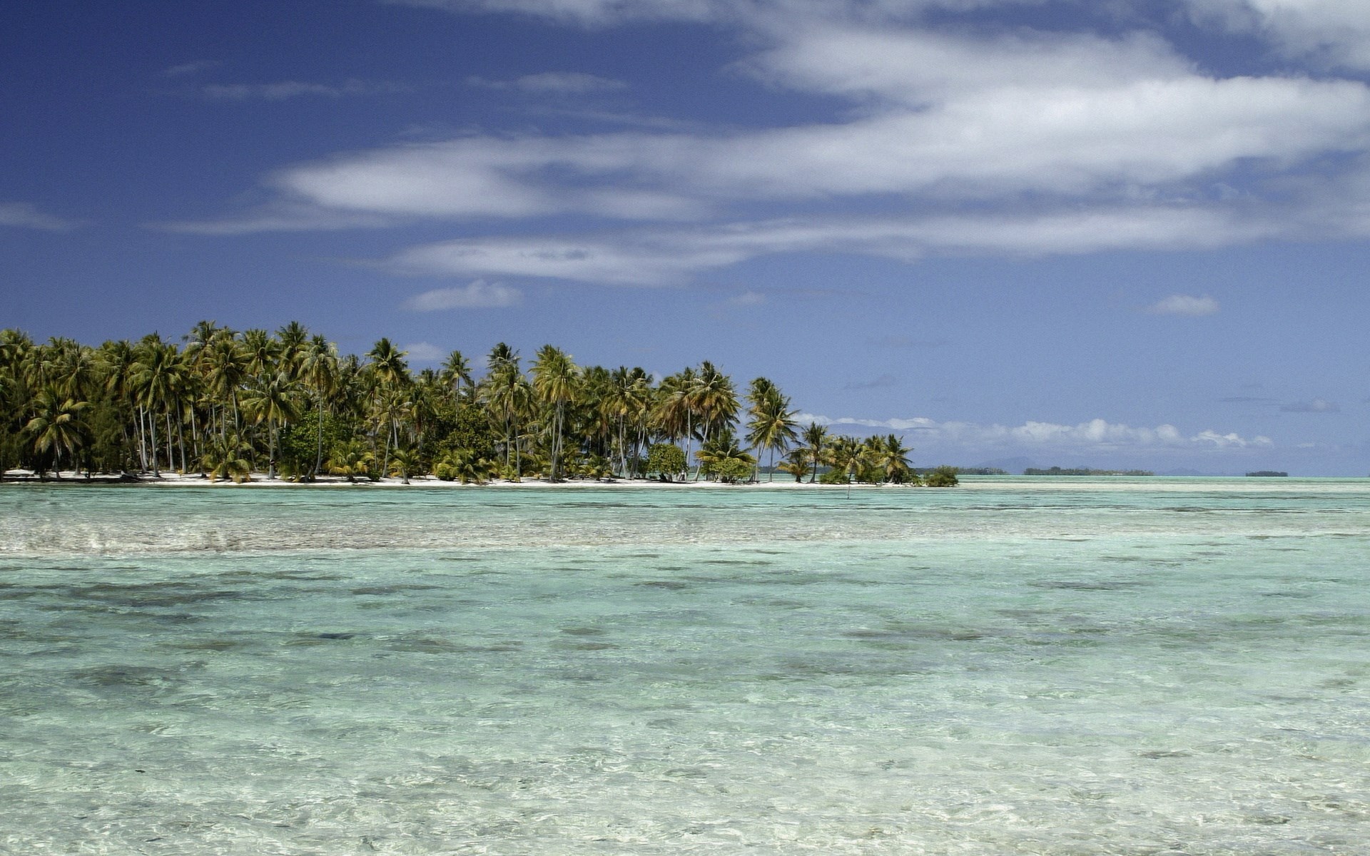 Tropical island with palm trees and clear turquoise water HD Wallpaper