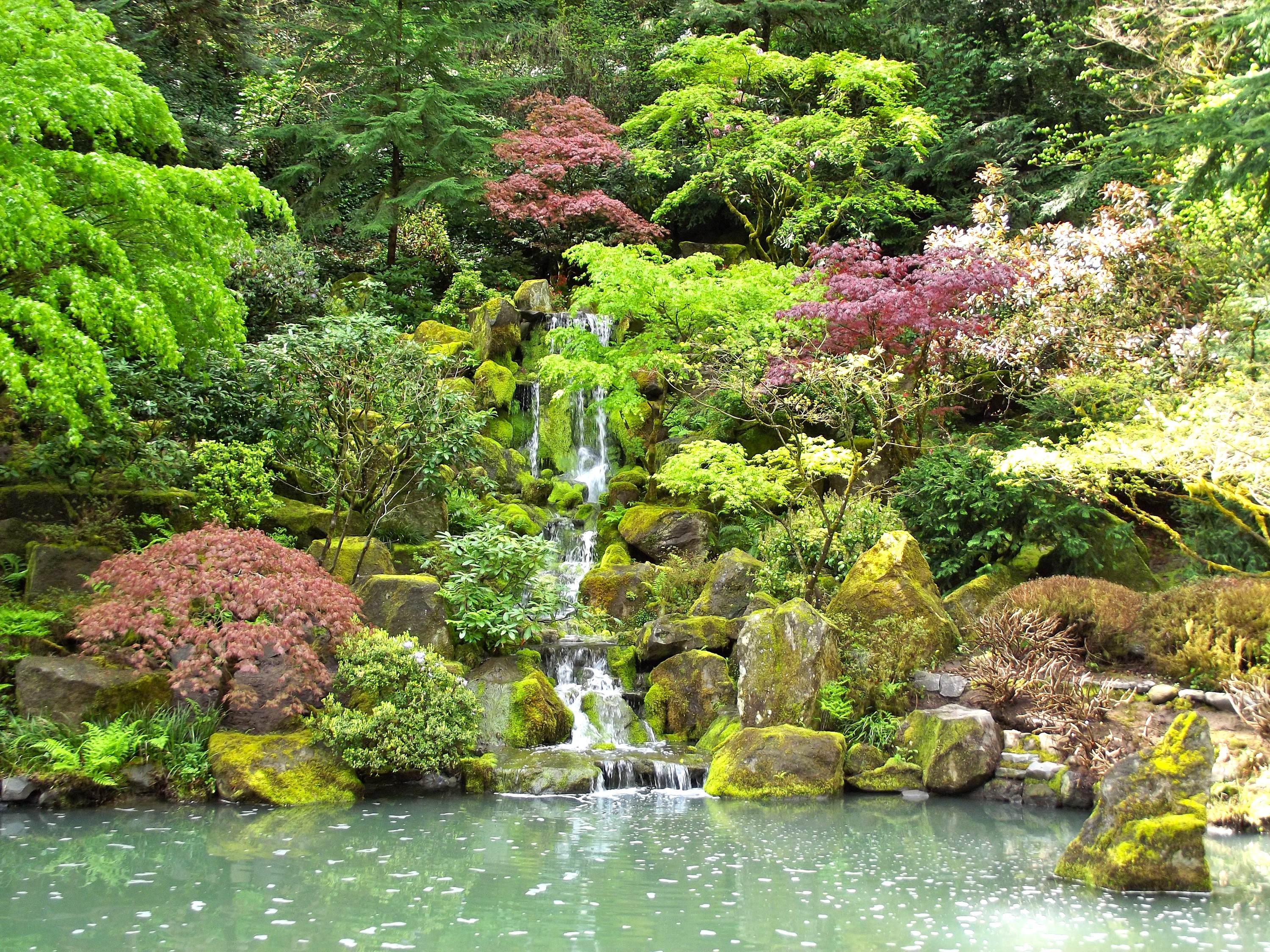 Japanese Garden with Waterfall and Pond HD Wallpaper