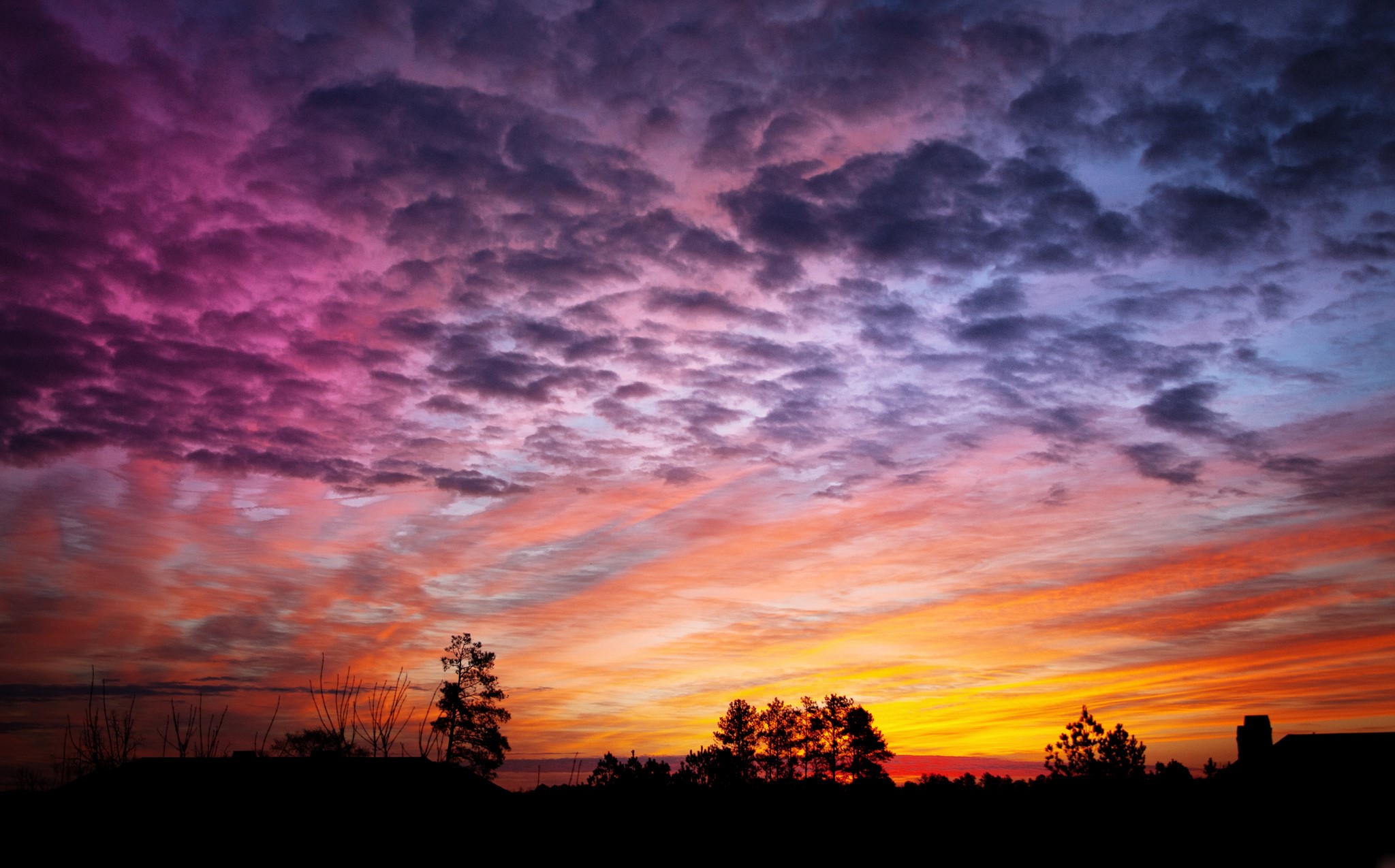 Dramatic sunset with colorful clouds over silhouetted trees HD Wallpaper