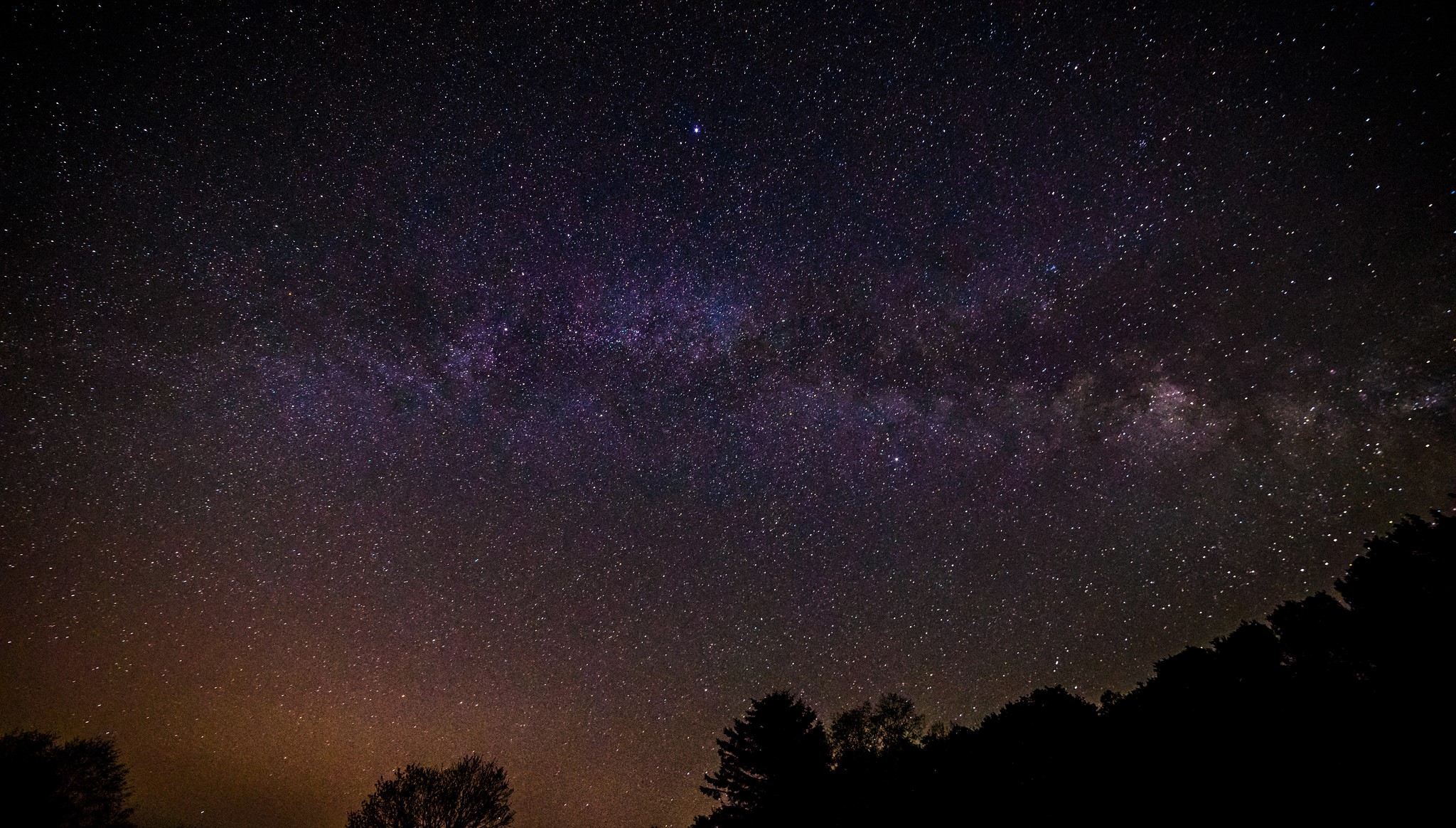 Milky Way galaxy over silhouetted trees at night HD Wallpaper