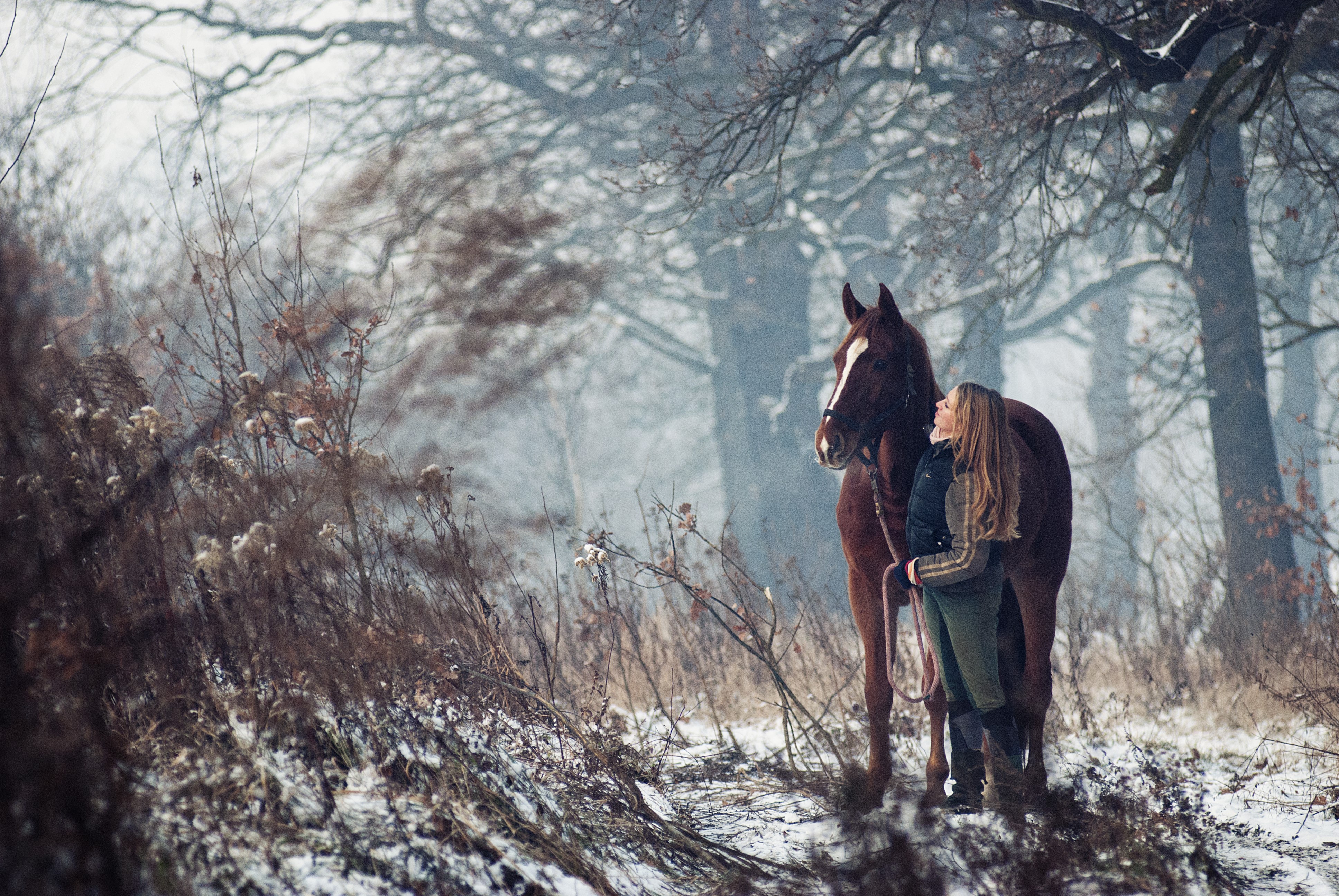 Woman and horse in a snowy forest HD Wallpaper