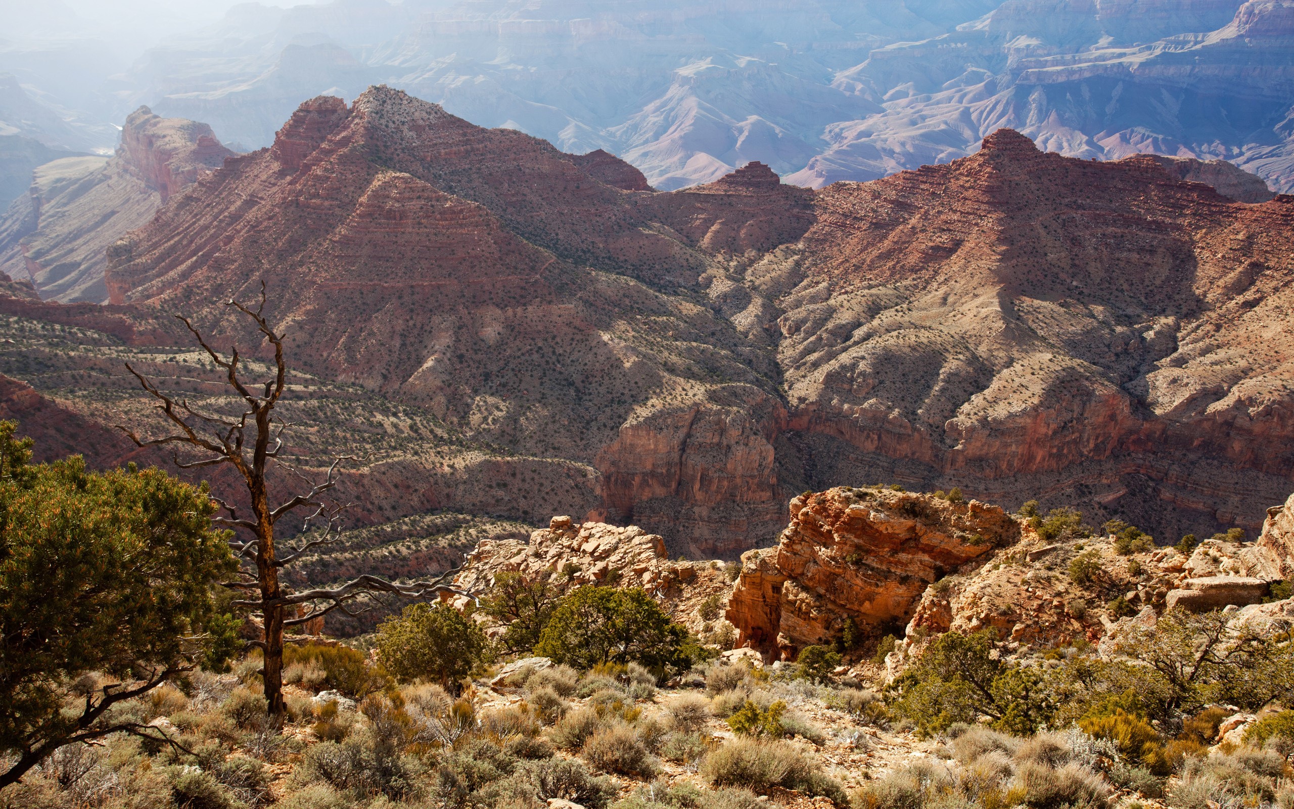 Grand Canyon National Park, Arizona, USA HD Wallpaper
