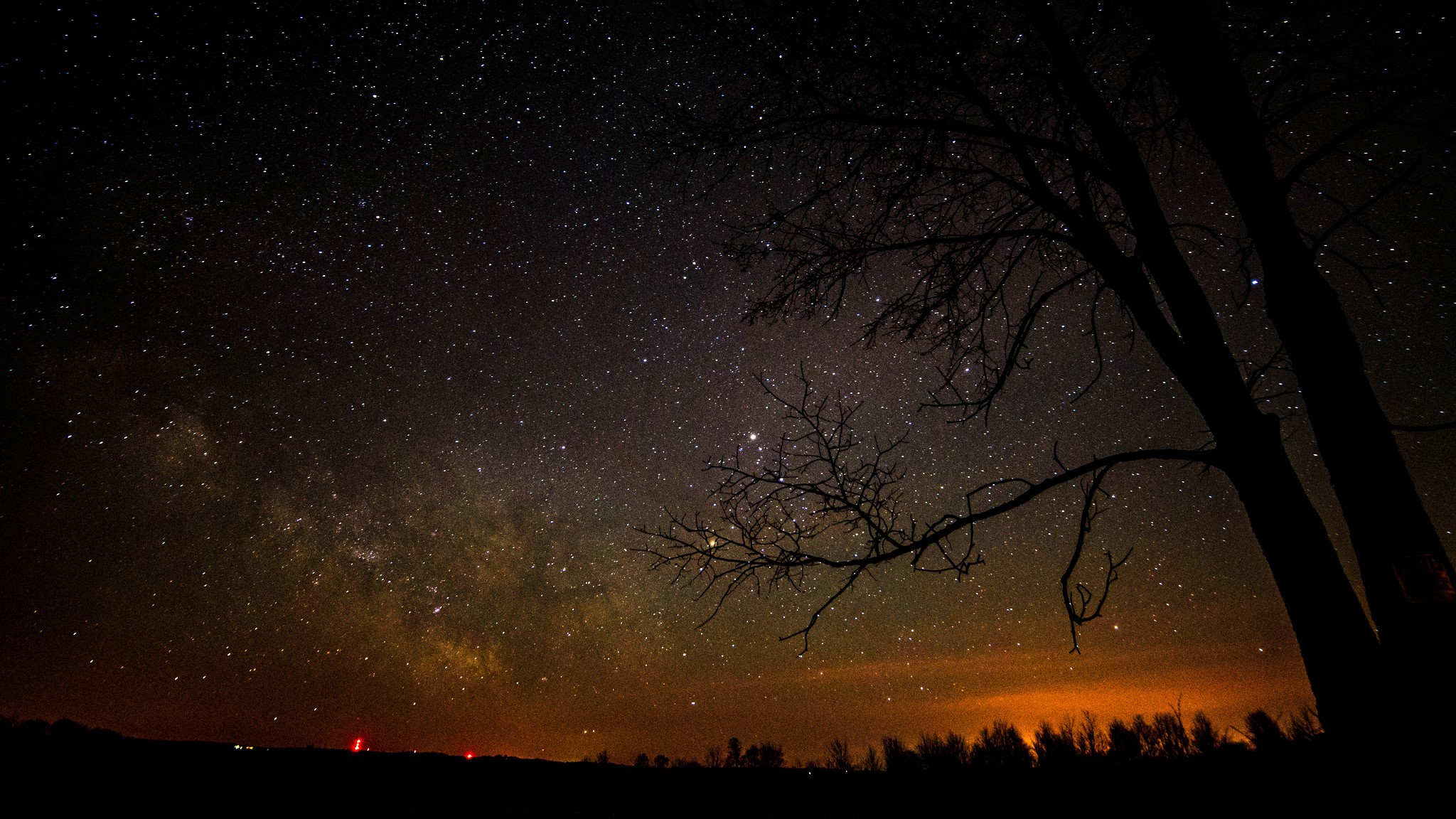Night sky with Milky Way and silhouetted trees HD Wallpaper
