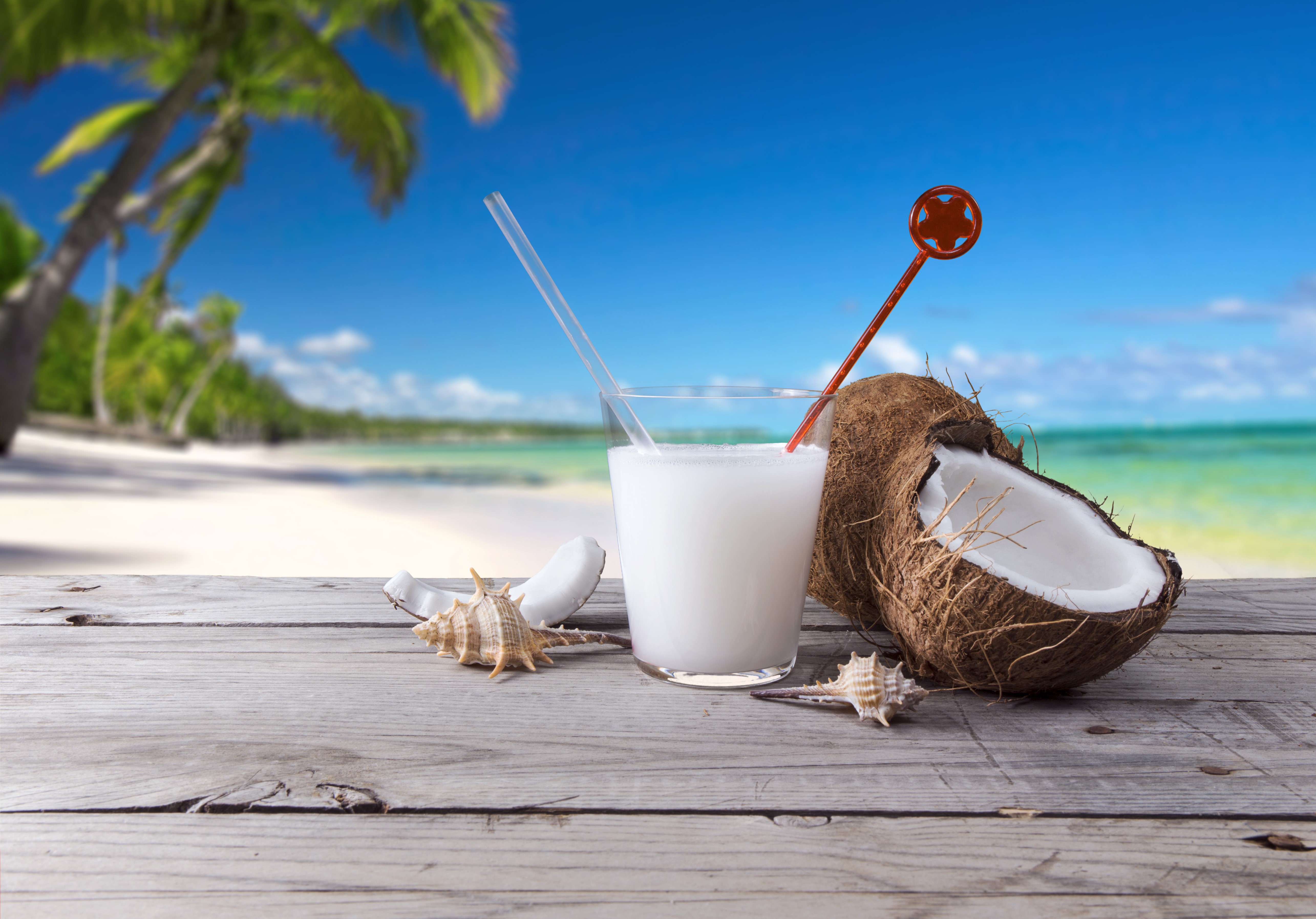 Coconut cocktail on a beach with coconuts and shells HD Wallpaper