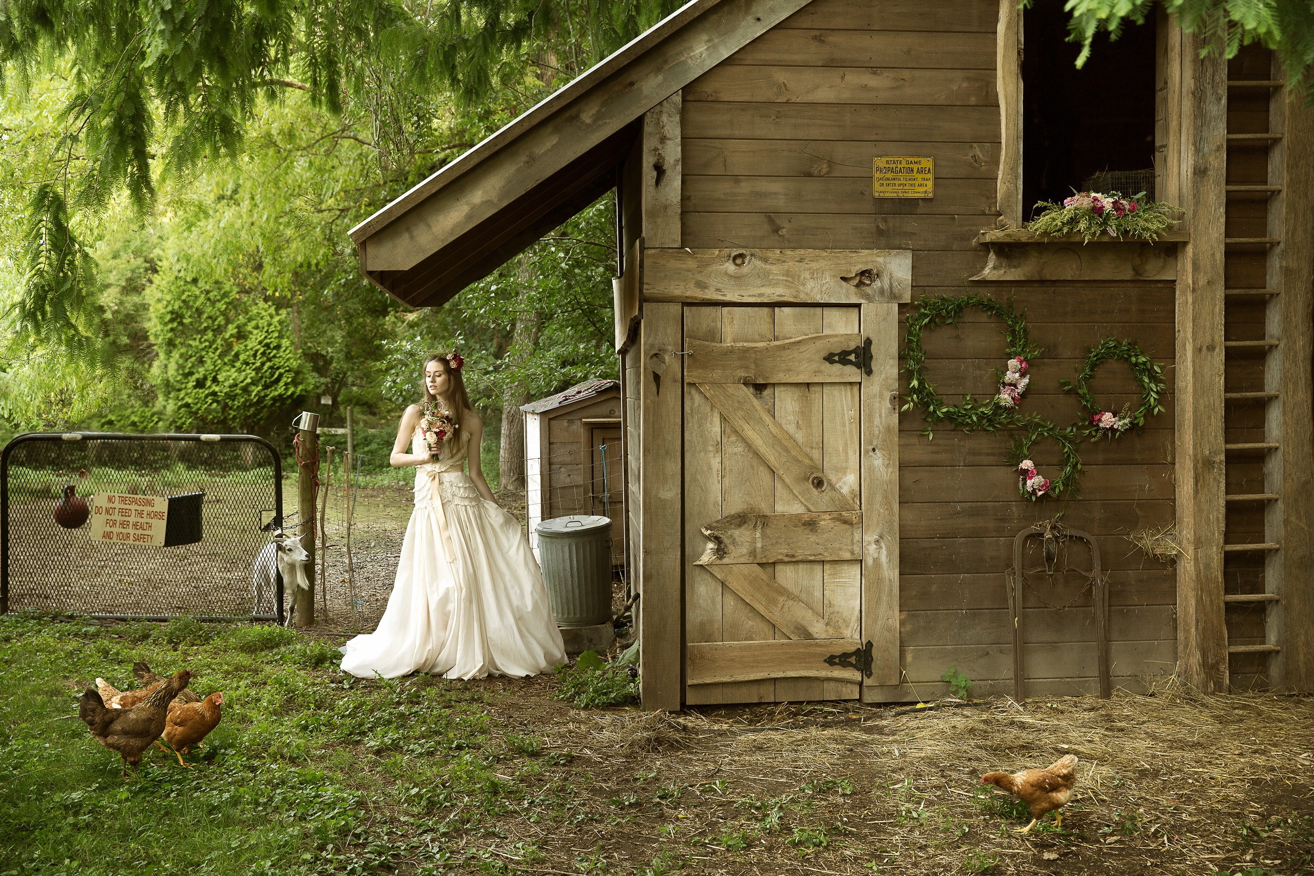 Bride in a wedding dress with chickens near a barn HD Wallpaper