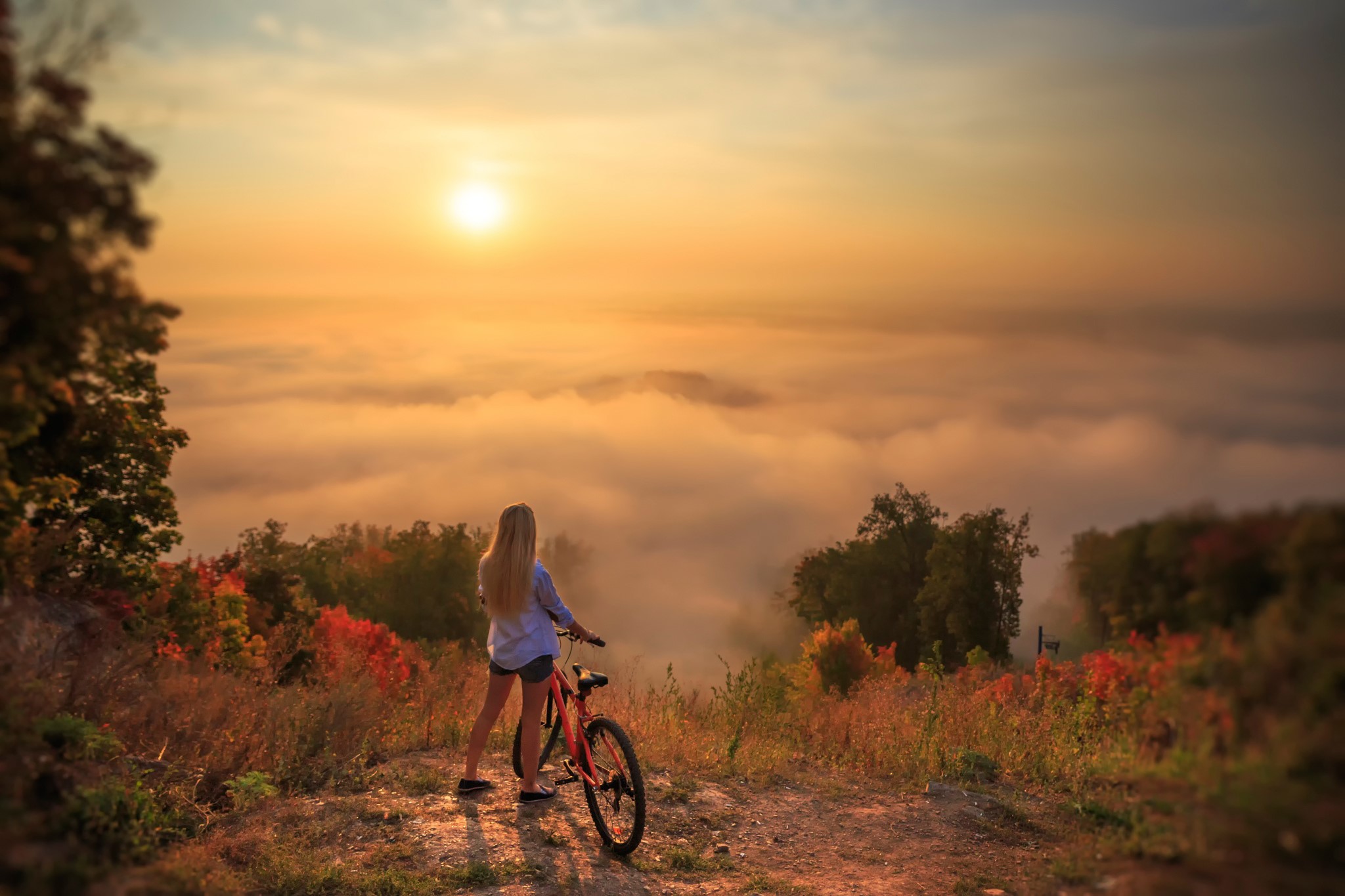 Woman with bicycle overlooking foggy valley at sunrise HD Wallpaper