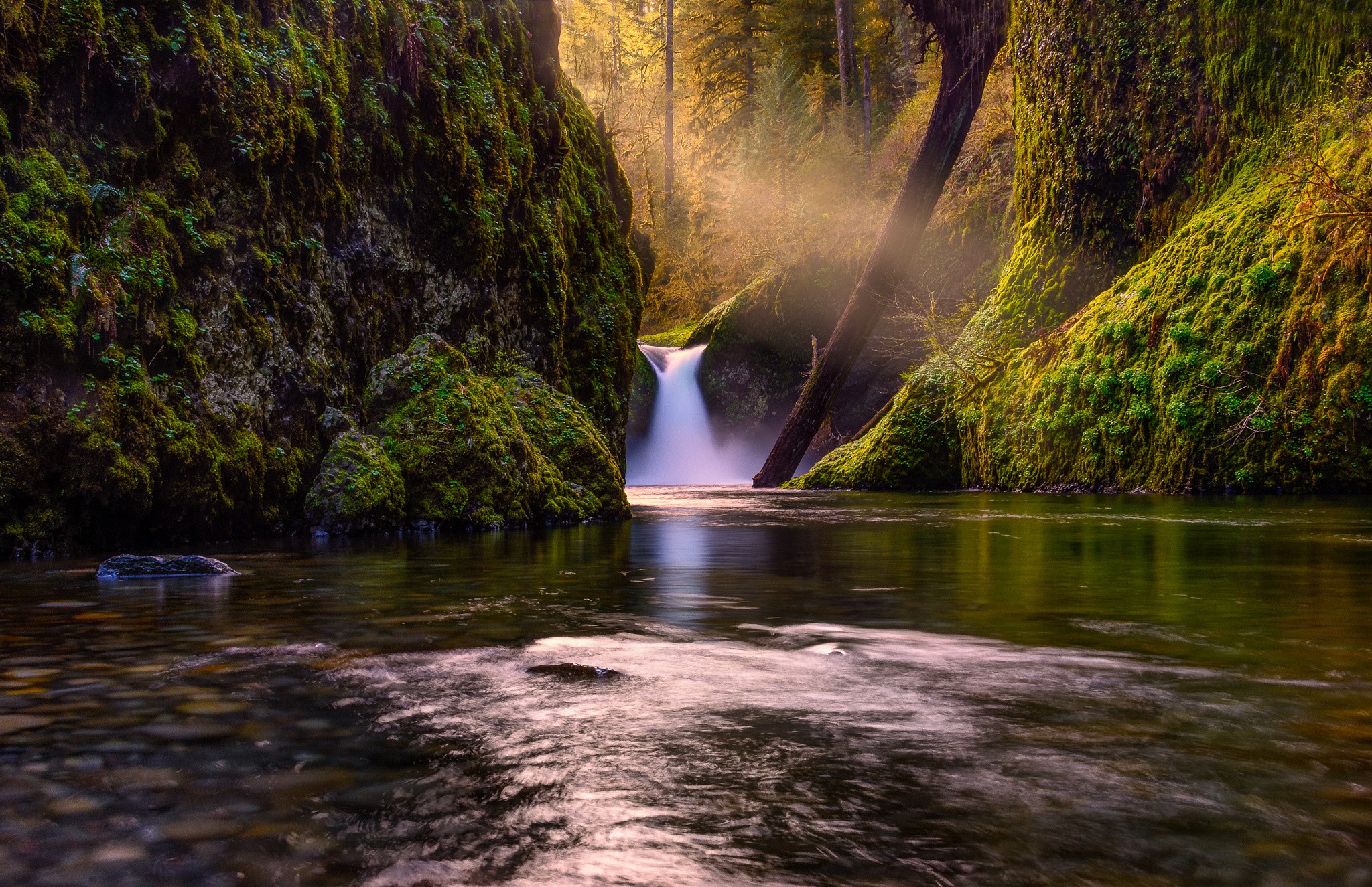 Mossy cliffs and waterfall in a forest river HD Wallpaper