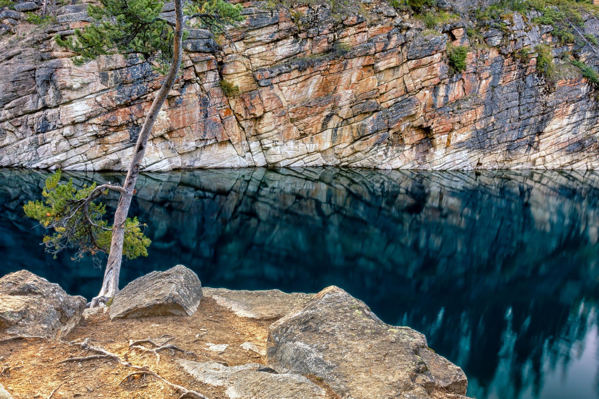 Tree on rocky shore overlooking a blue lake with cliff reflection HD Wallpaper