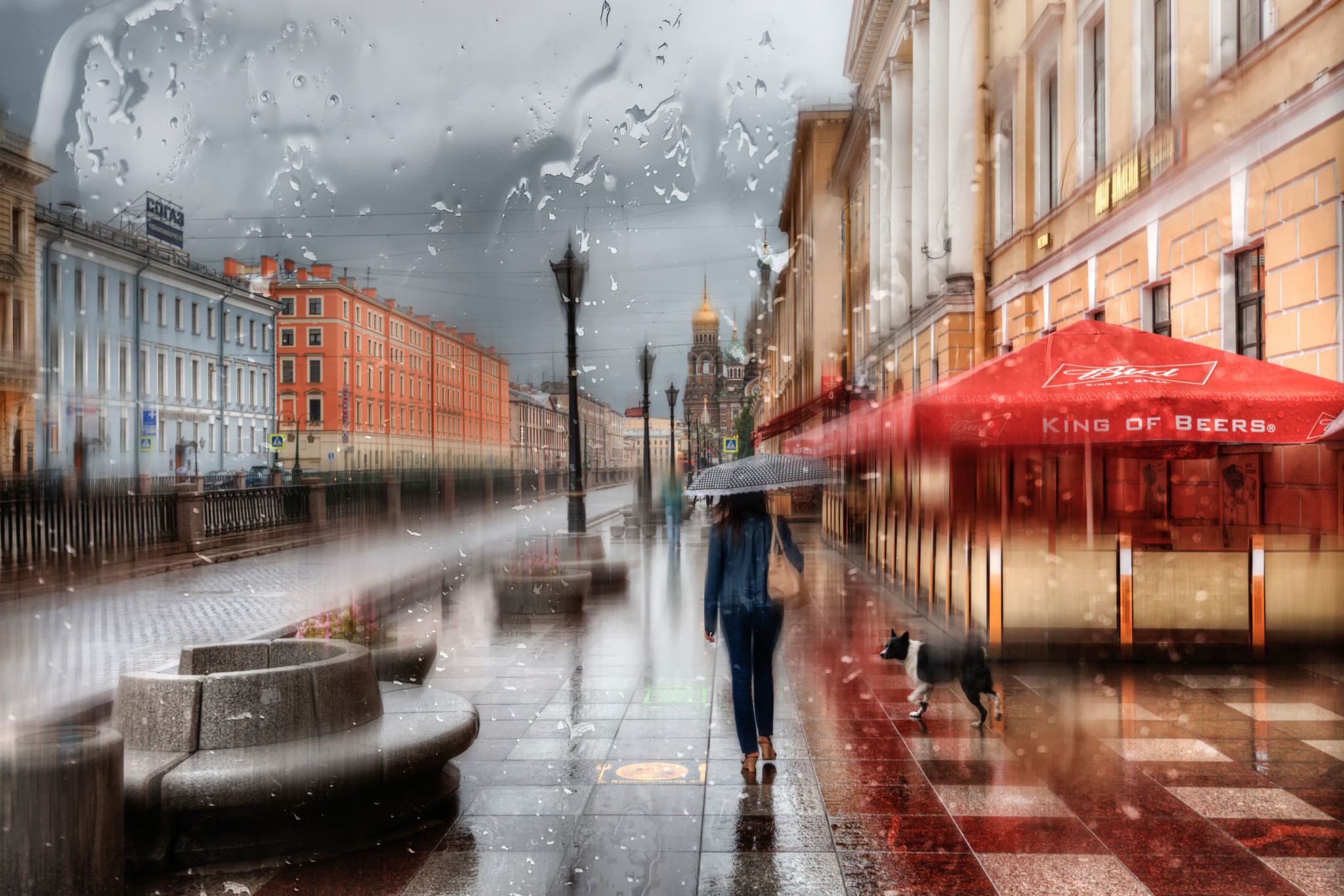 St. Petersburg Rain Houses Russia Street Umbrella Drops HD Wallpaper