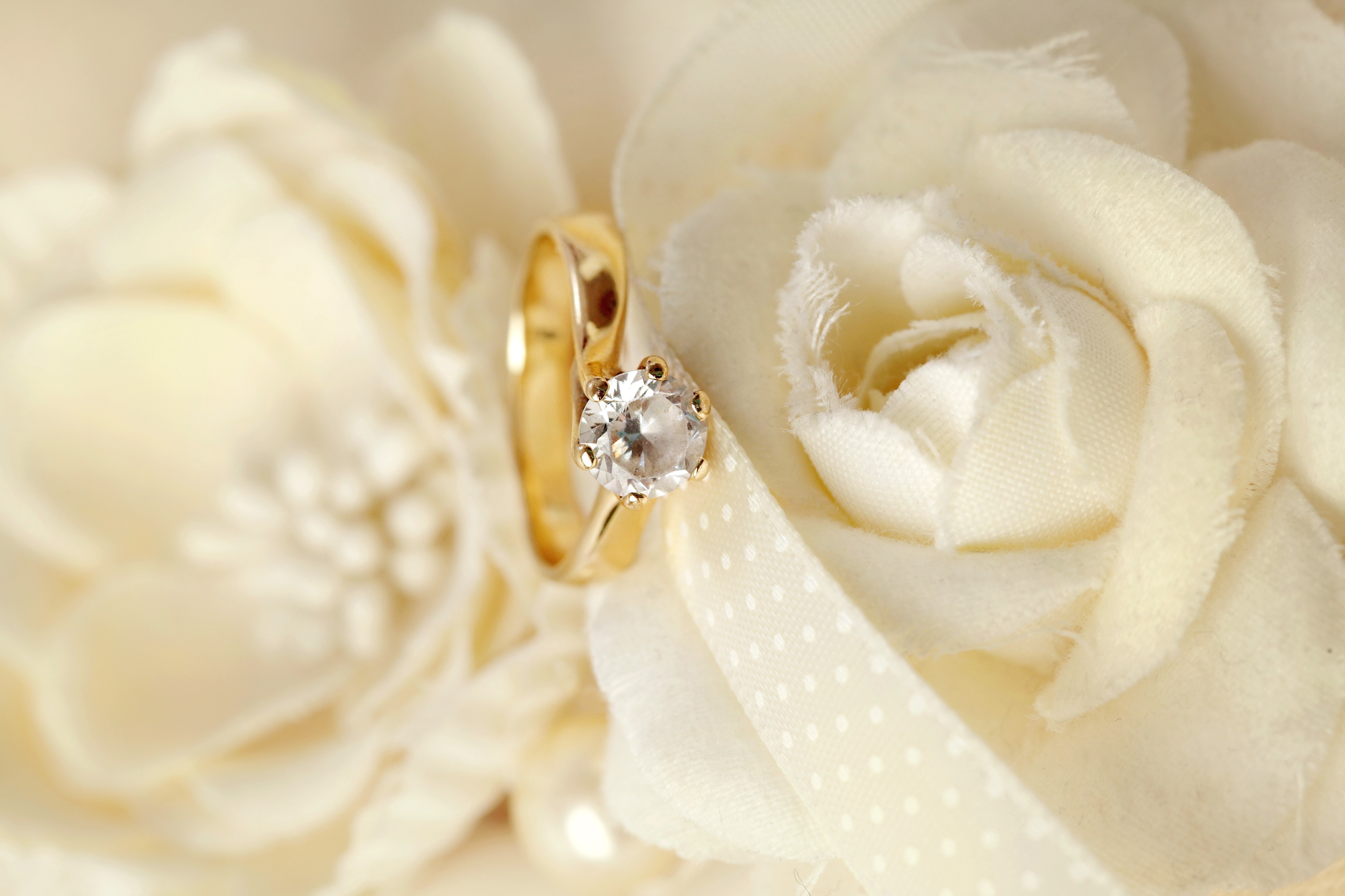 Wedding Rings on Fabric Flowers HD Wallpaper