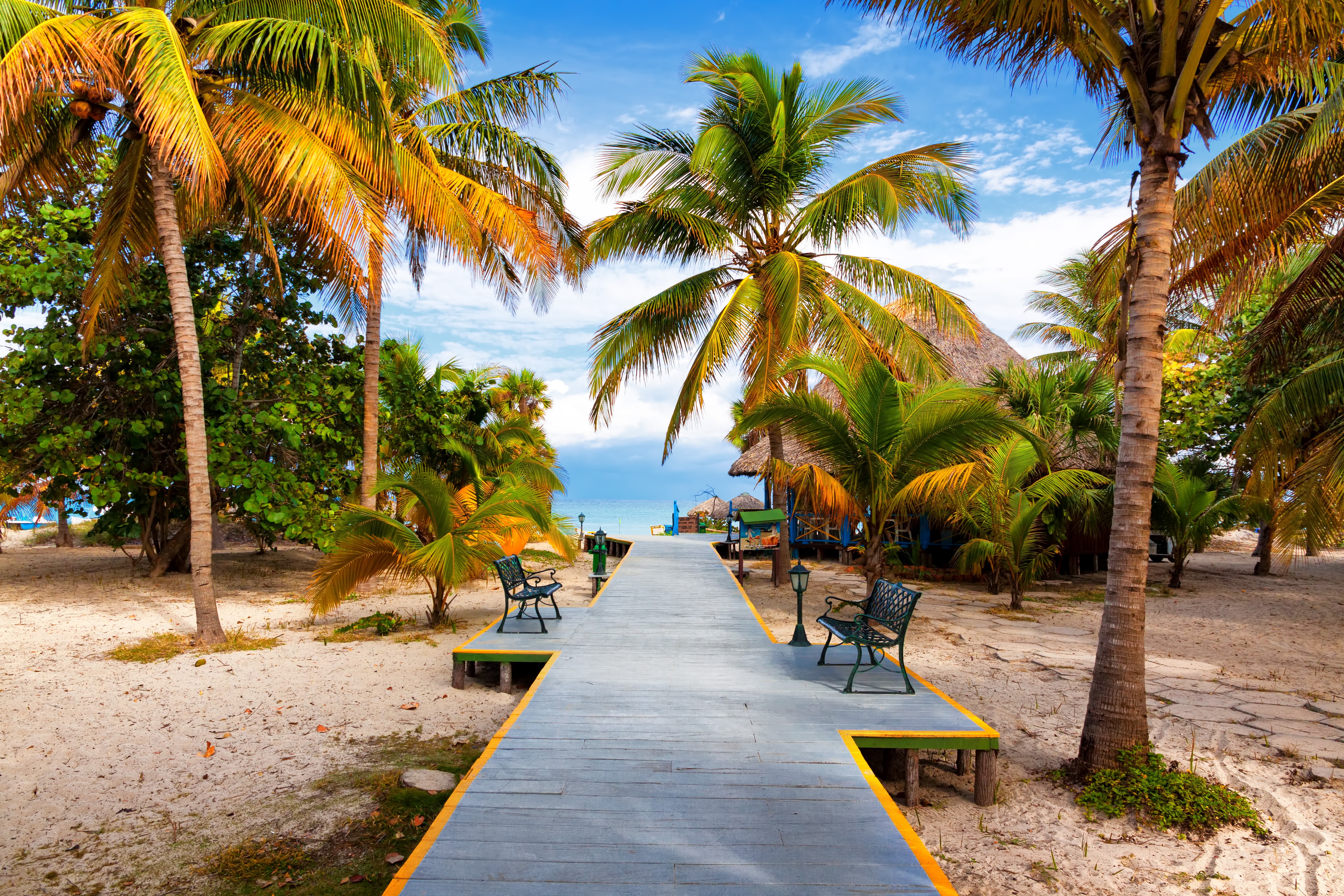 Tropical beach with palm trees and a boardwalk HD Wallpaper