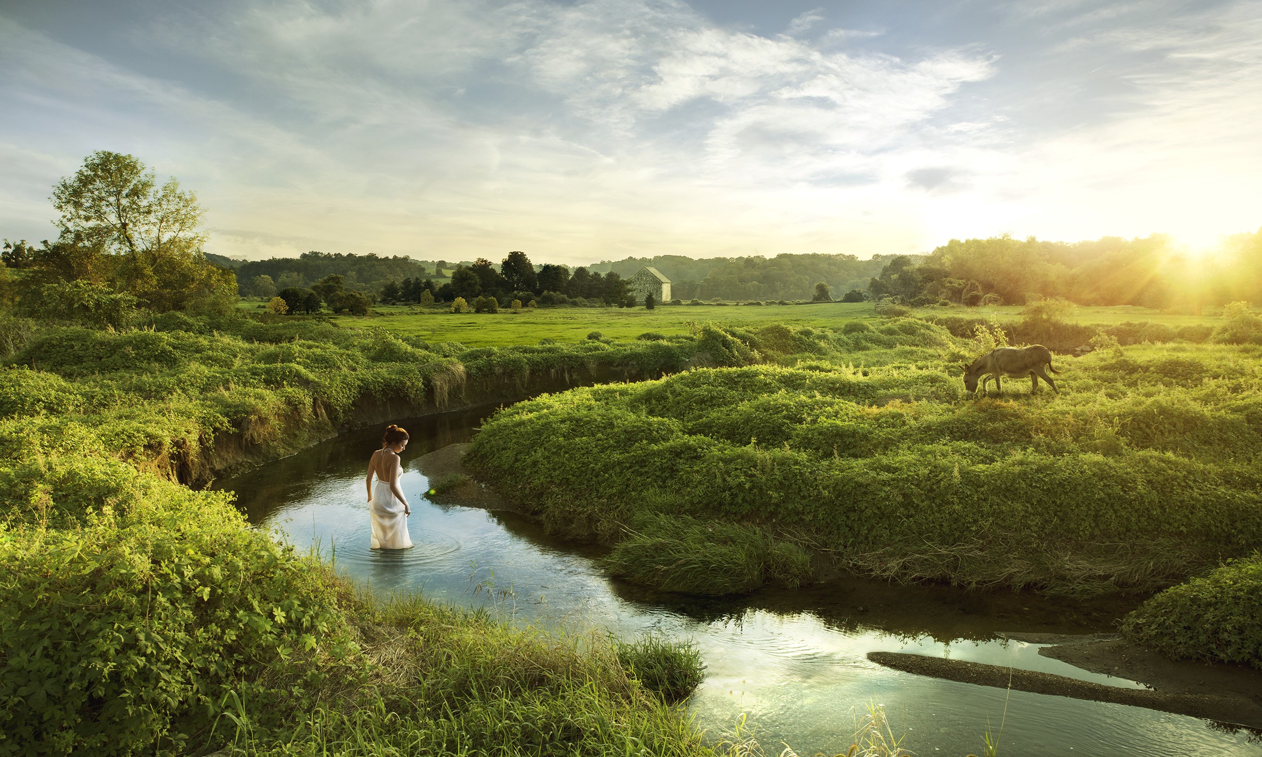 Woman in white dress wading in a stream with a horse grazing HD Wallpaper