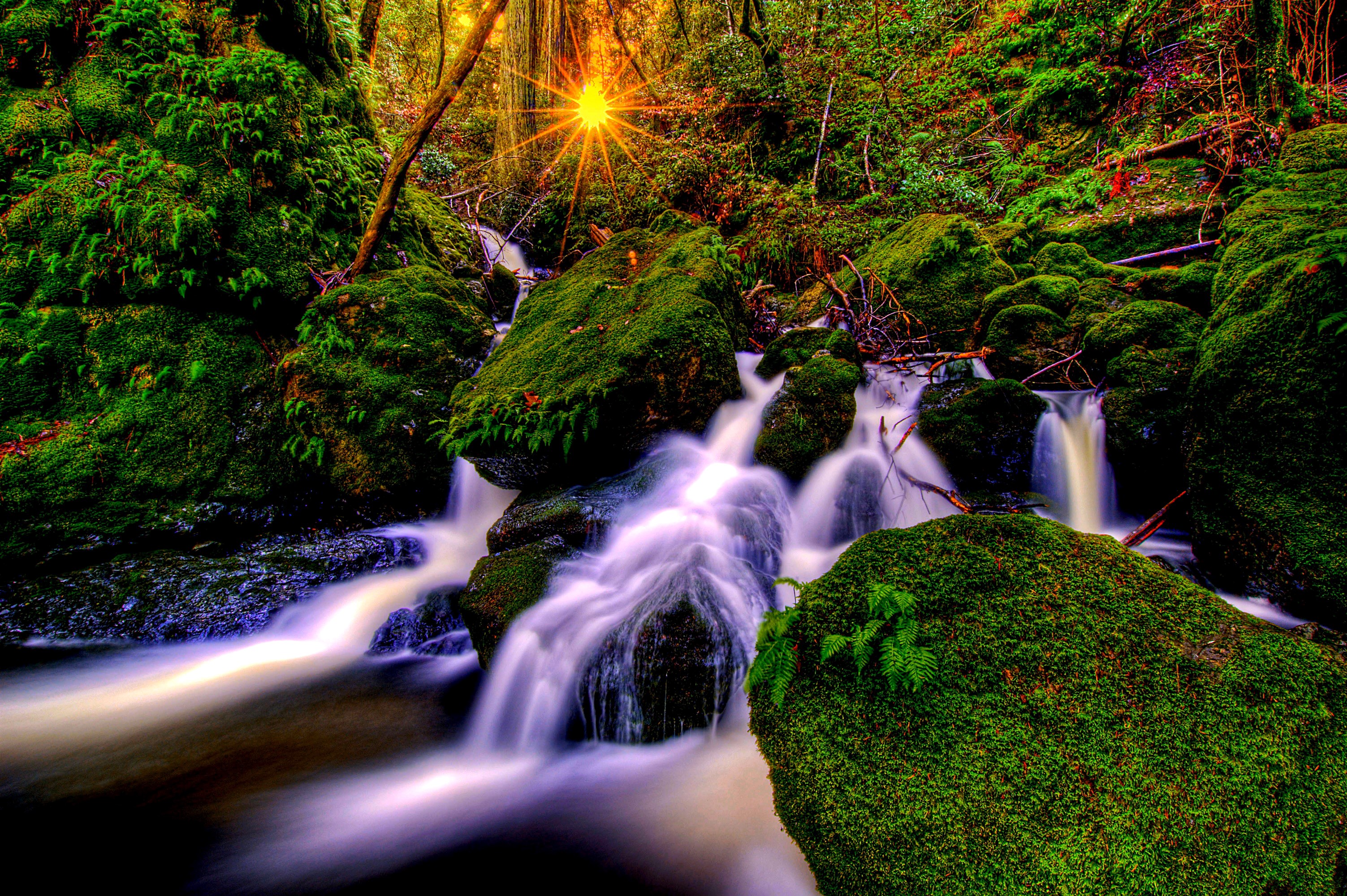 Sunlight filtering through trees onto mossy rocks and waterfalls HD Wallpaper