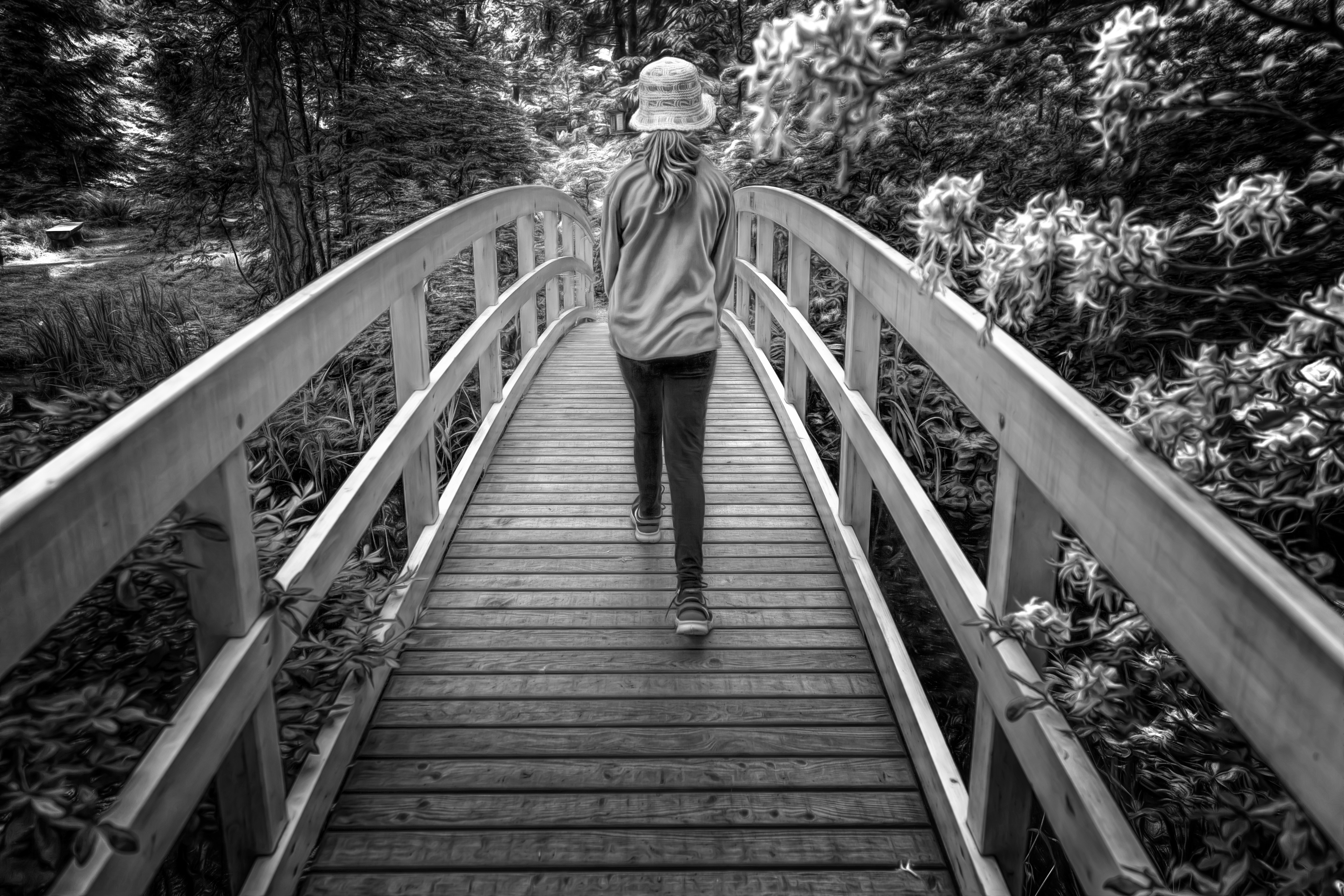 Girl Walking on a Wooden Bridge in a Forest HD Wallpaper