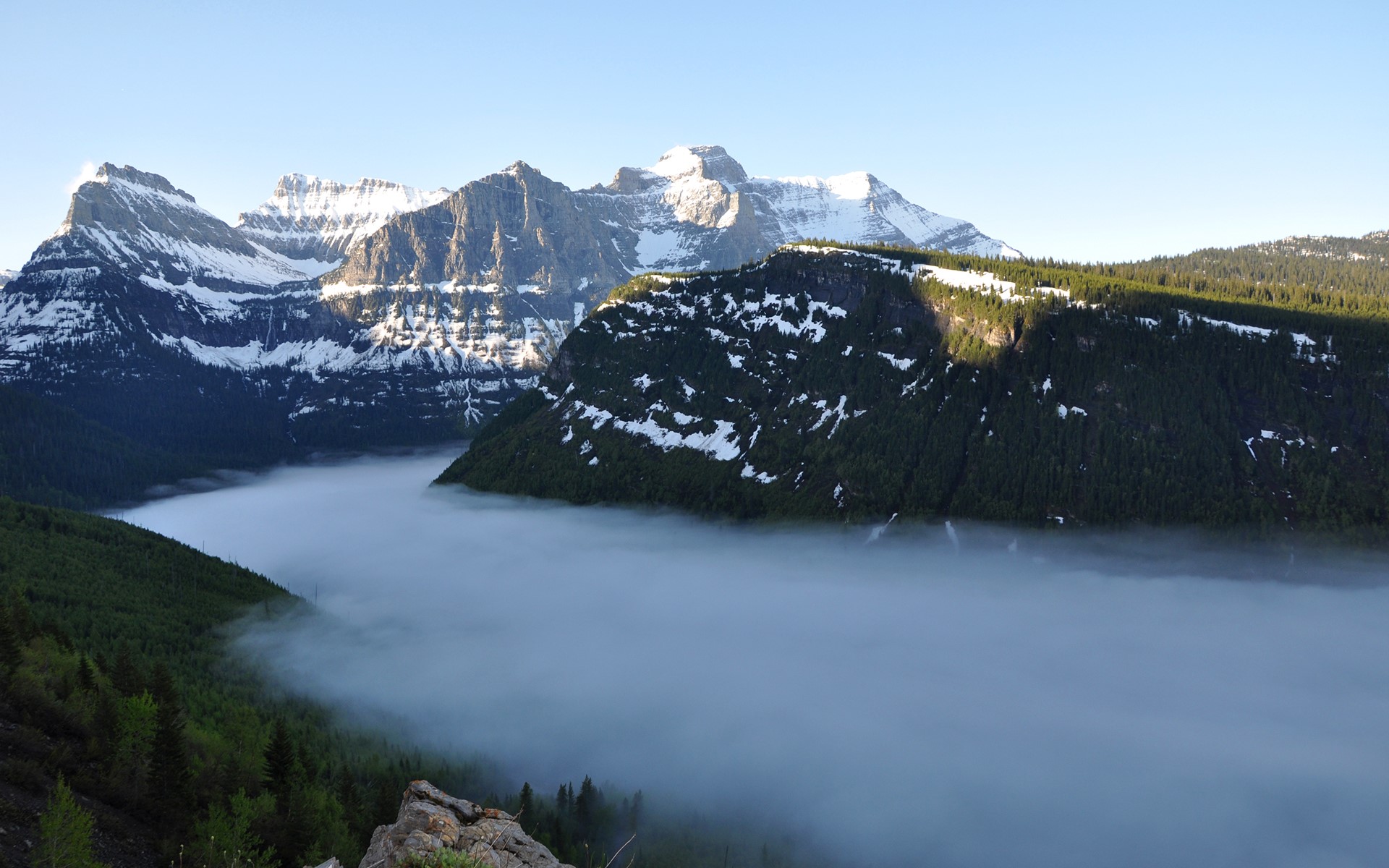 Snow-capped mountains above a foggy valley with pine forests HD Wallpaper