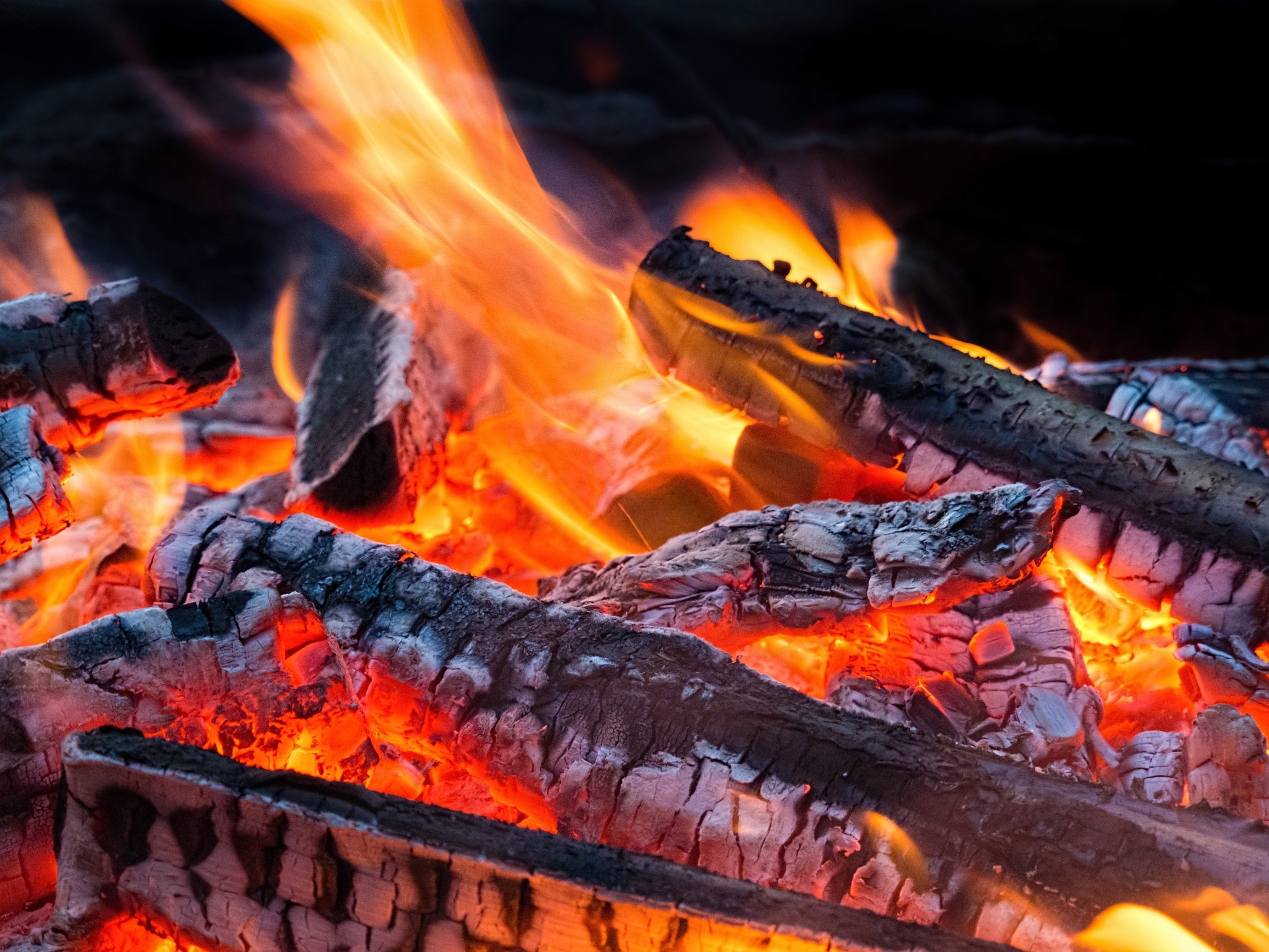 Close-up of burning logs and flames HD Wallpaper