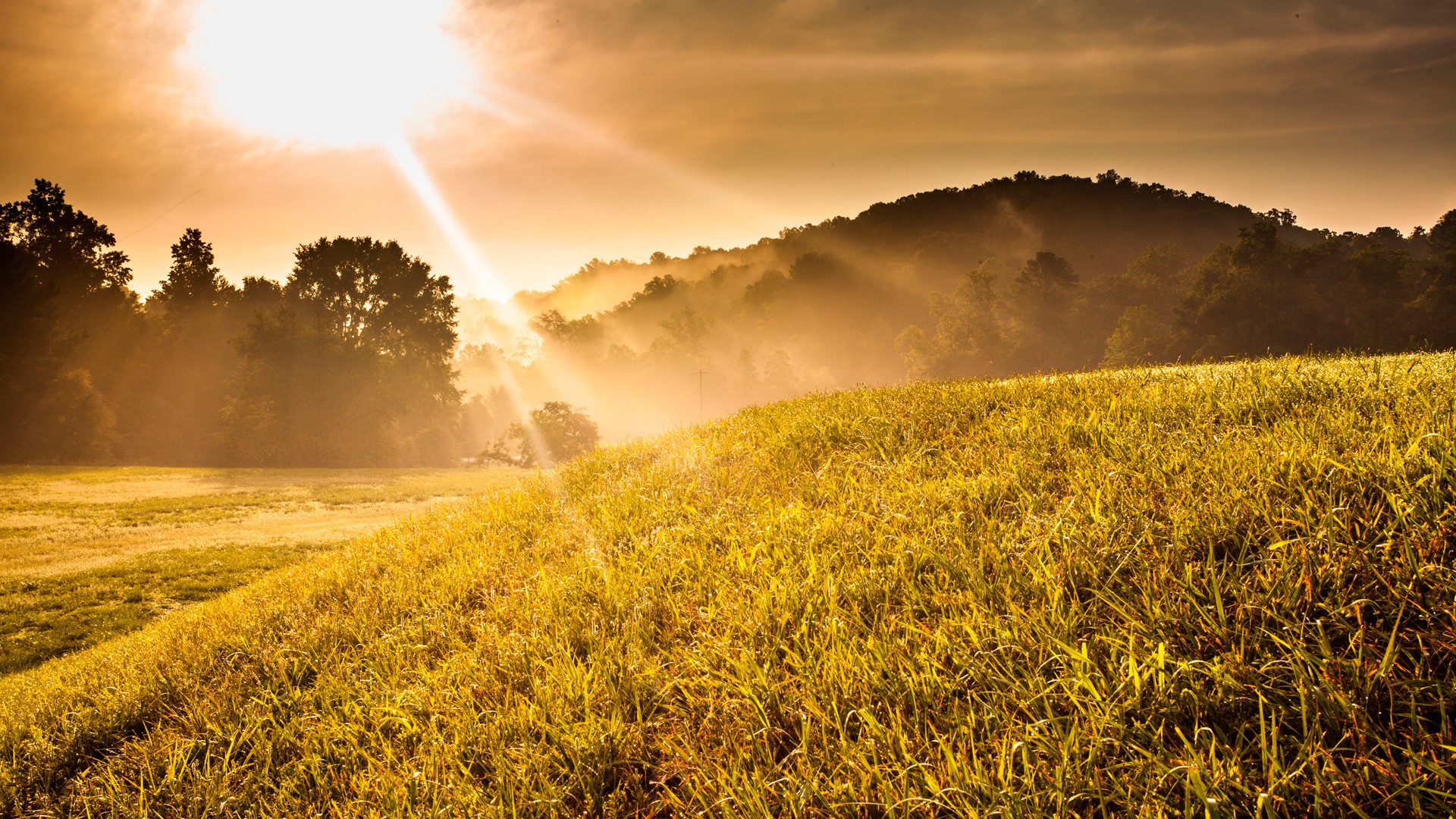 Sunlight filtering through fog over a grassy hill and mountains HD Wallpaper