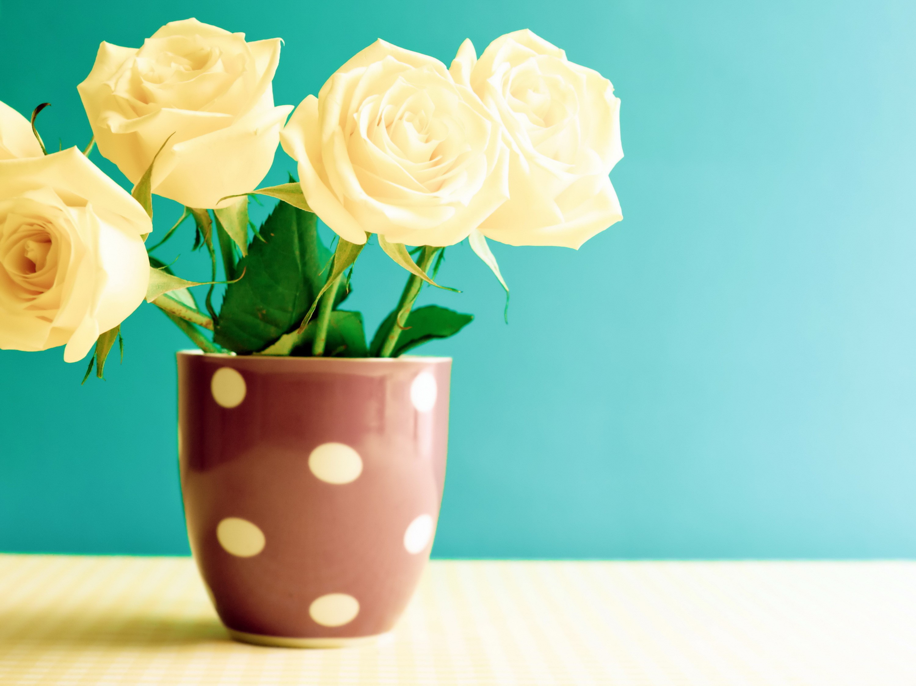 Yellow Roses in a Polka Dot Mug HD Wallpaper