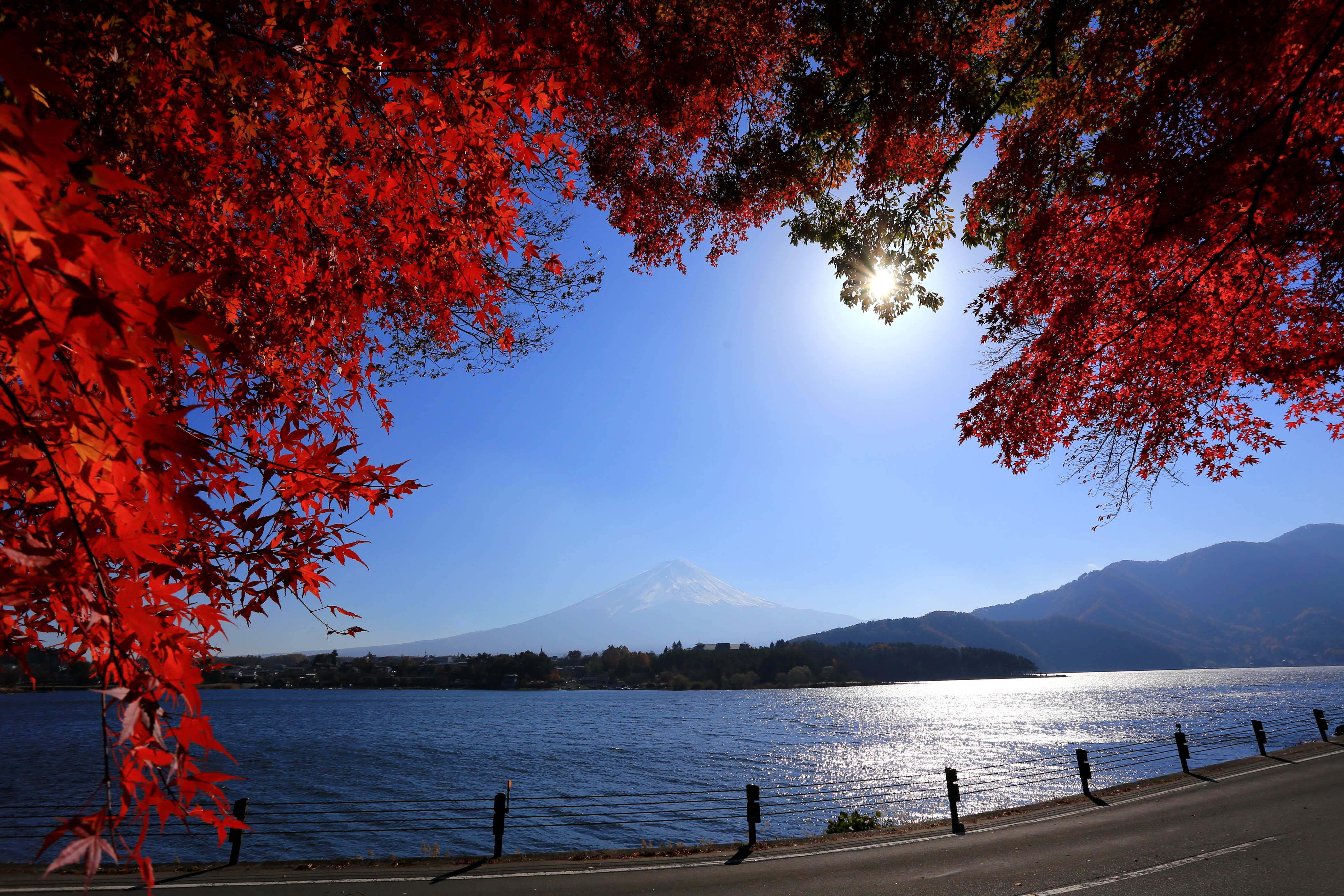 Mount Fuji and Lake Kawaguchi with Autumn Leaves HD Wallpaper