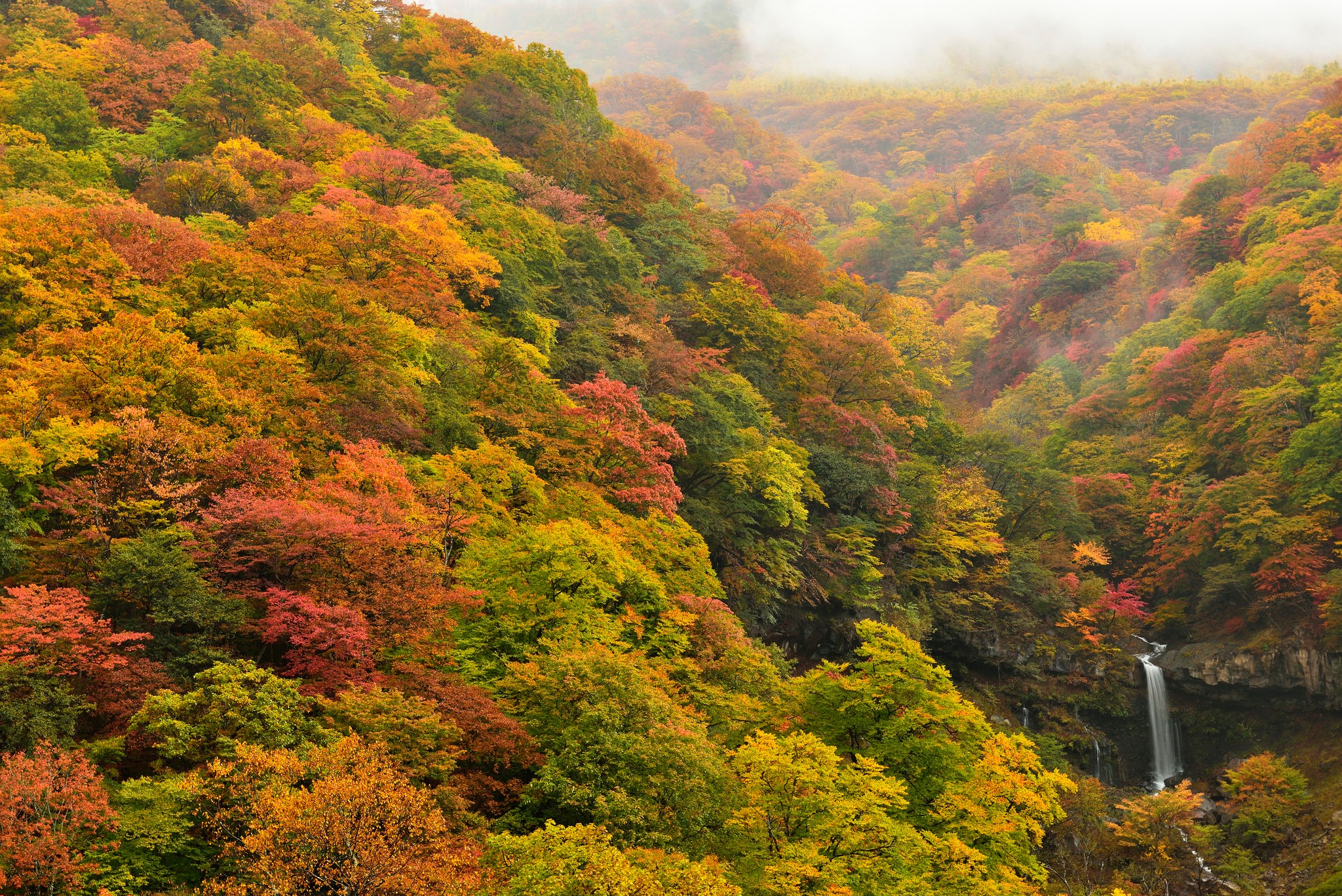 Autumn forest with a waterfall HD Wallpaper