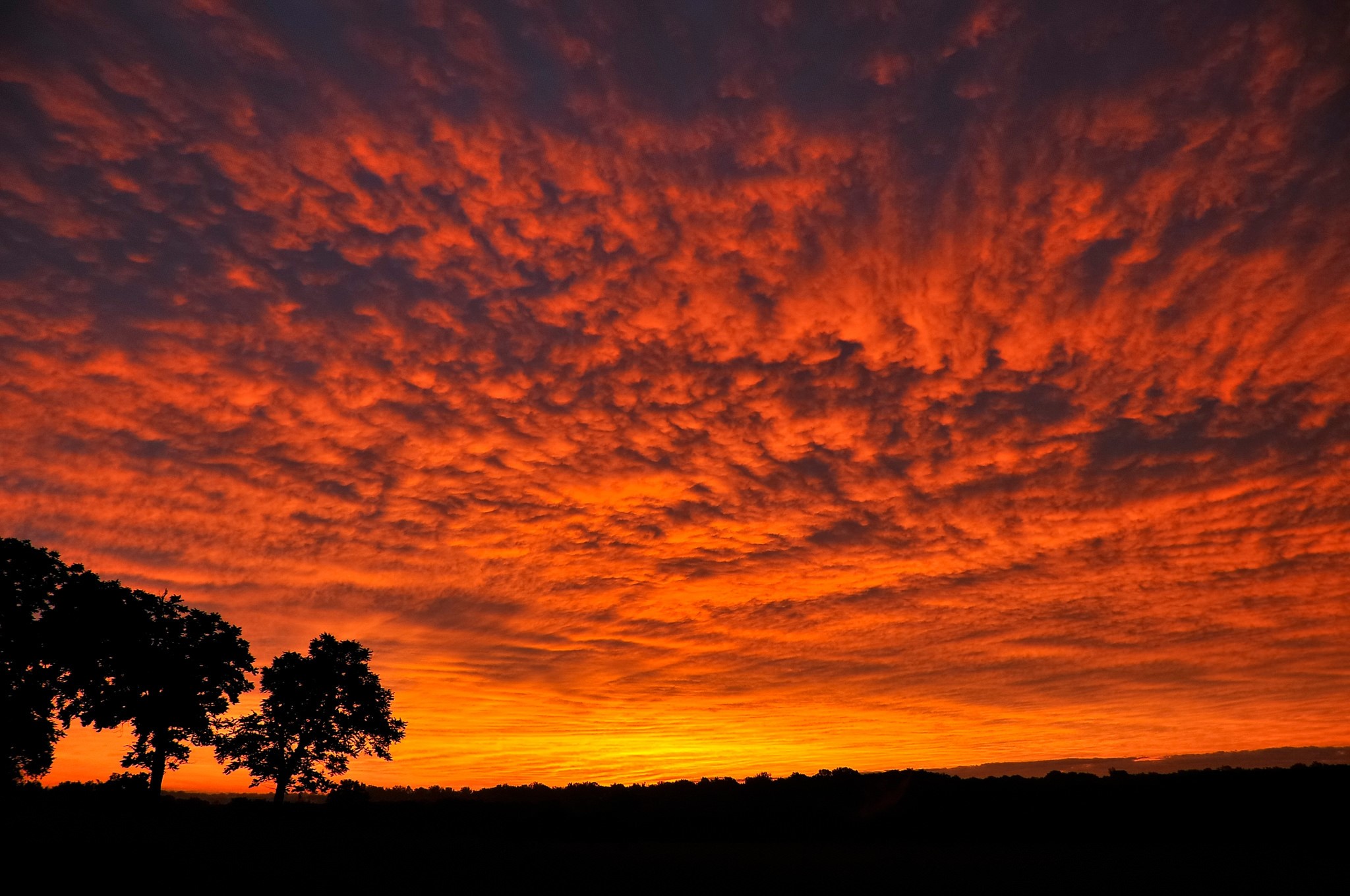 Fiery sunset clouds over silhouetted trees and landscape HD Wallpaper