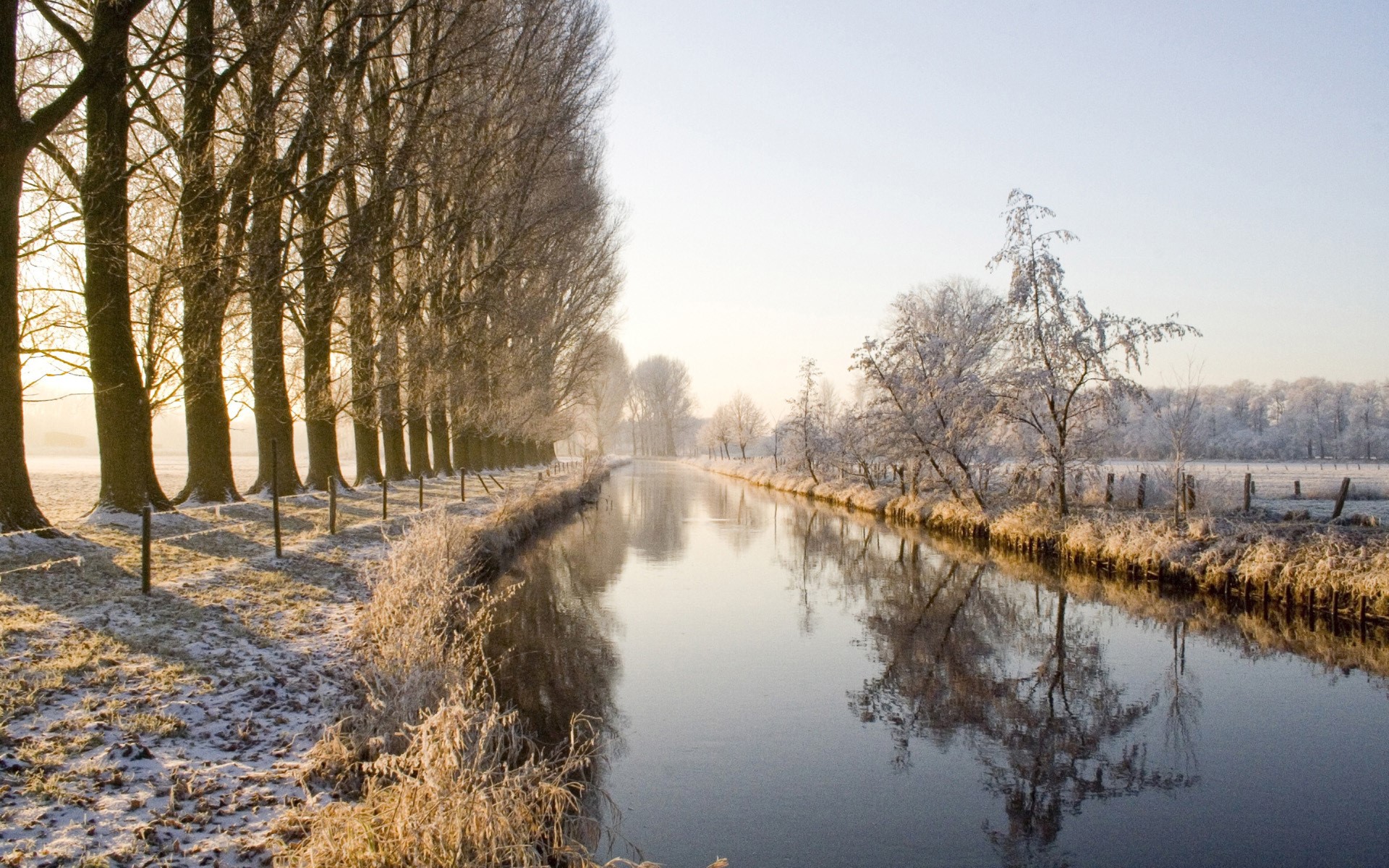 Winter landscape with a canal and trees in the Niederrhein HD Wallpaper