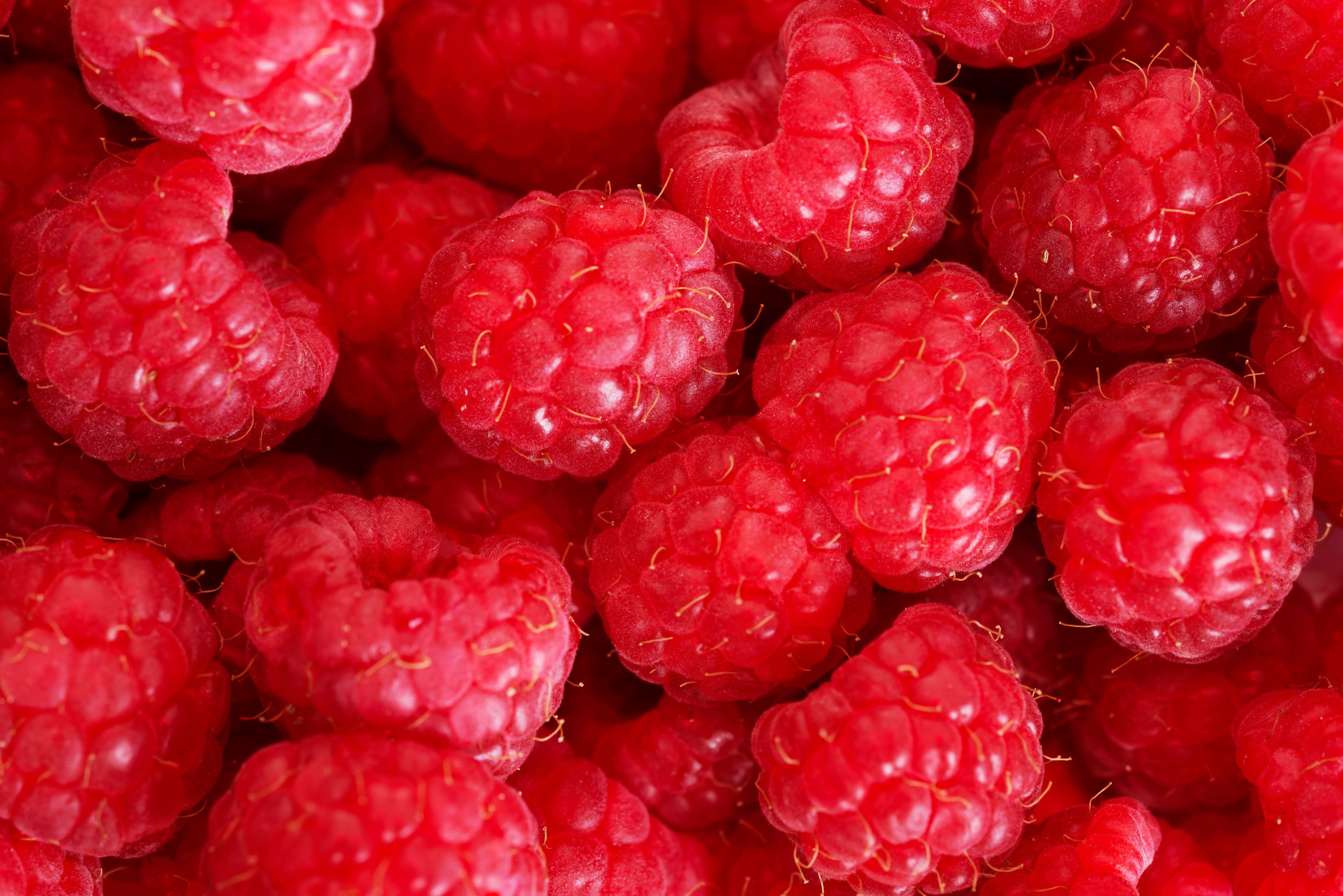Raspberry Fruit Closeup HD Wallpaper