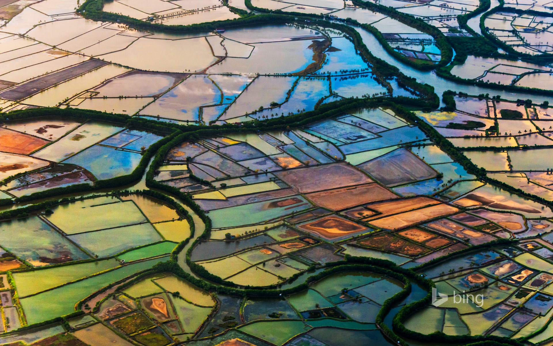 Aerial view of rice fields and rivers in Indonesia HD Wallpaper