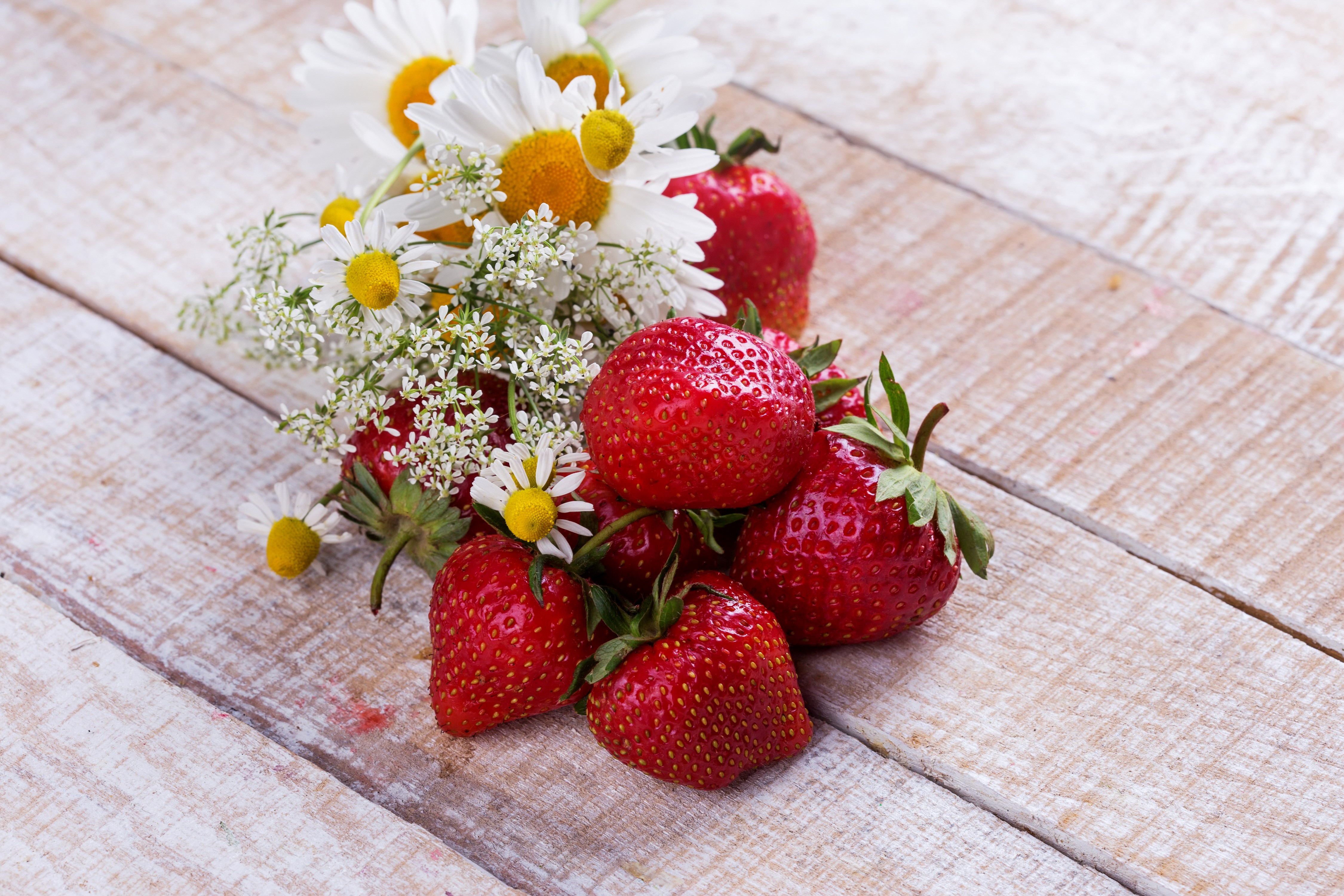Strawberries and Camomiles on Wooden Table HD Wallpaper