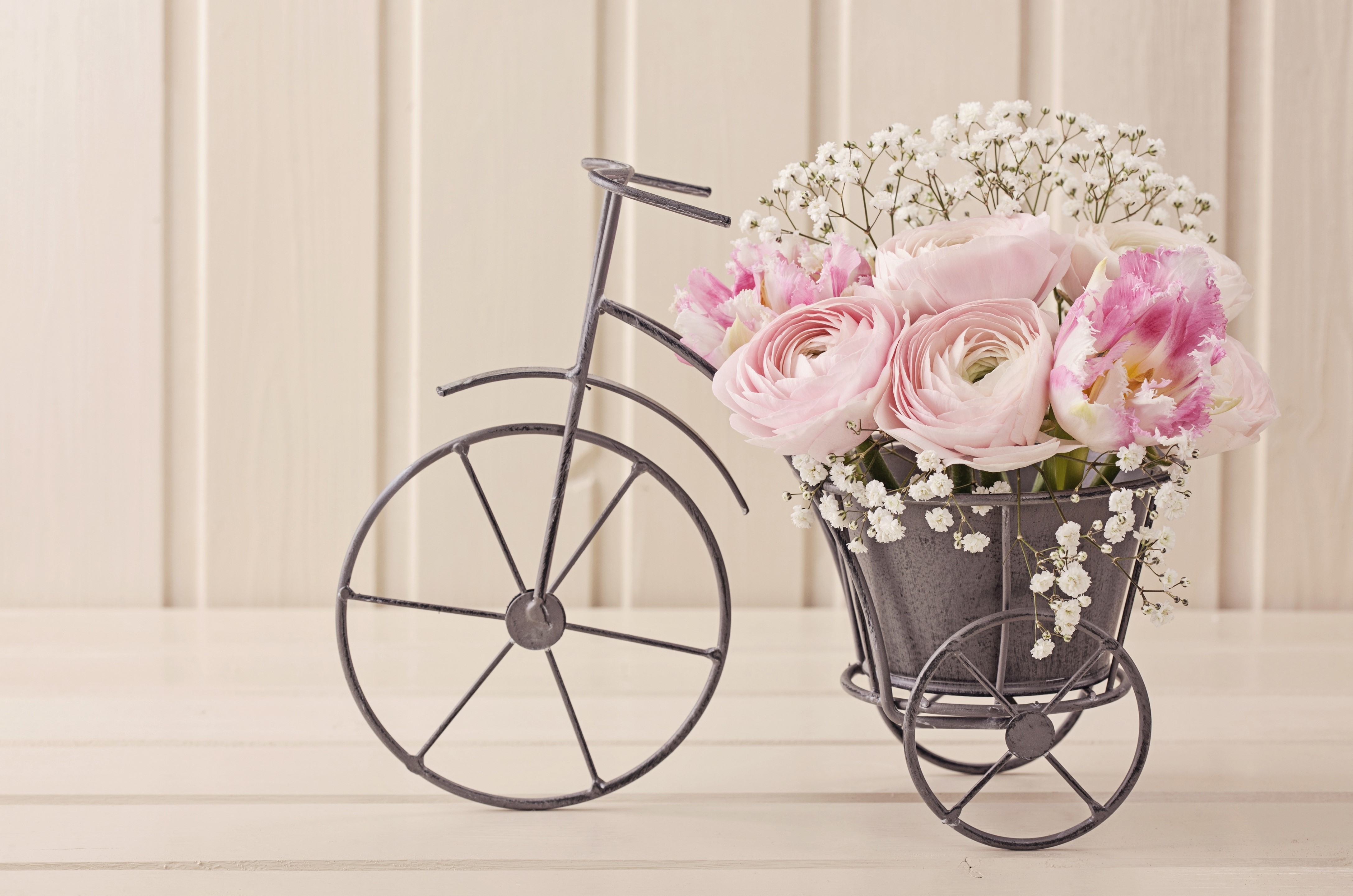 Pink Roses and Baby's Breath in a Bicycle Basket HD Wallpaper
