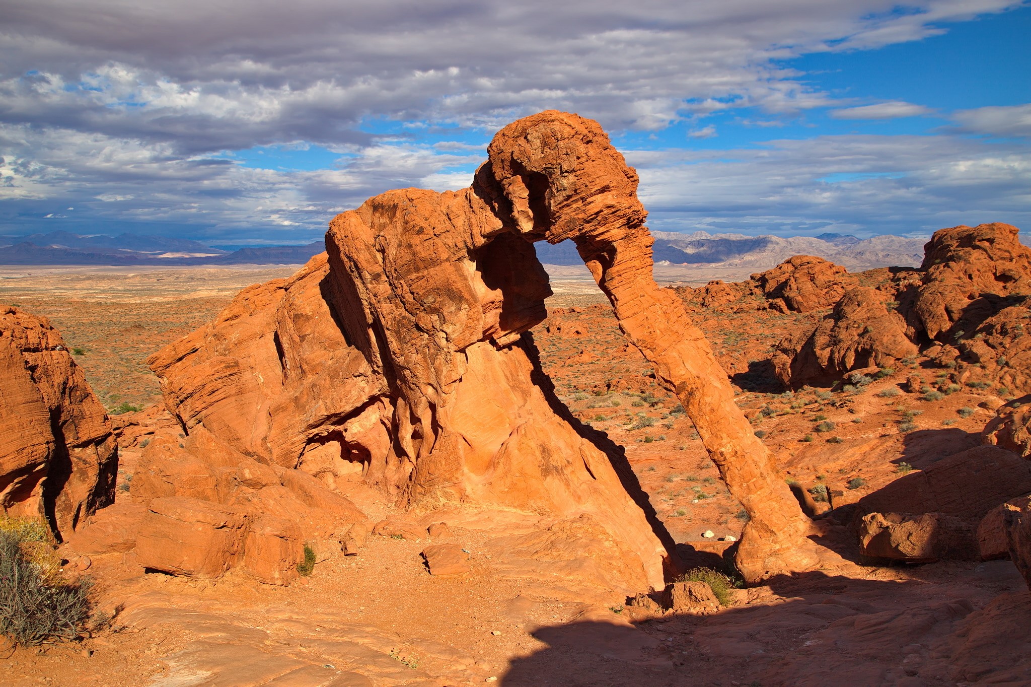 Elephant Rock in Valley of Fire State Park HD Wallpaper