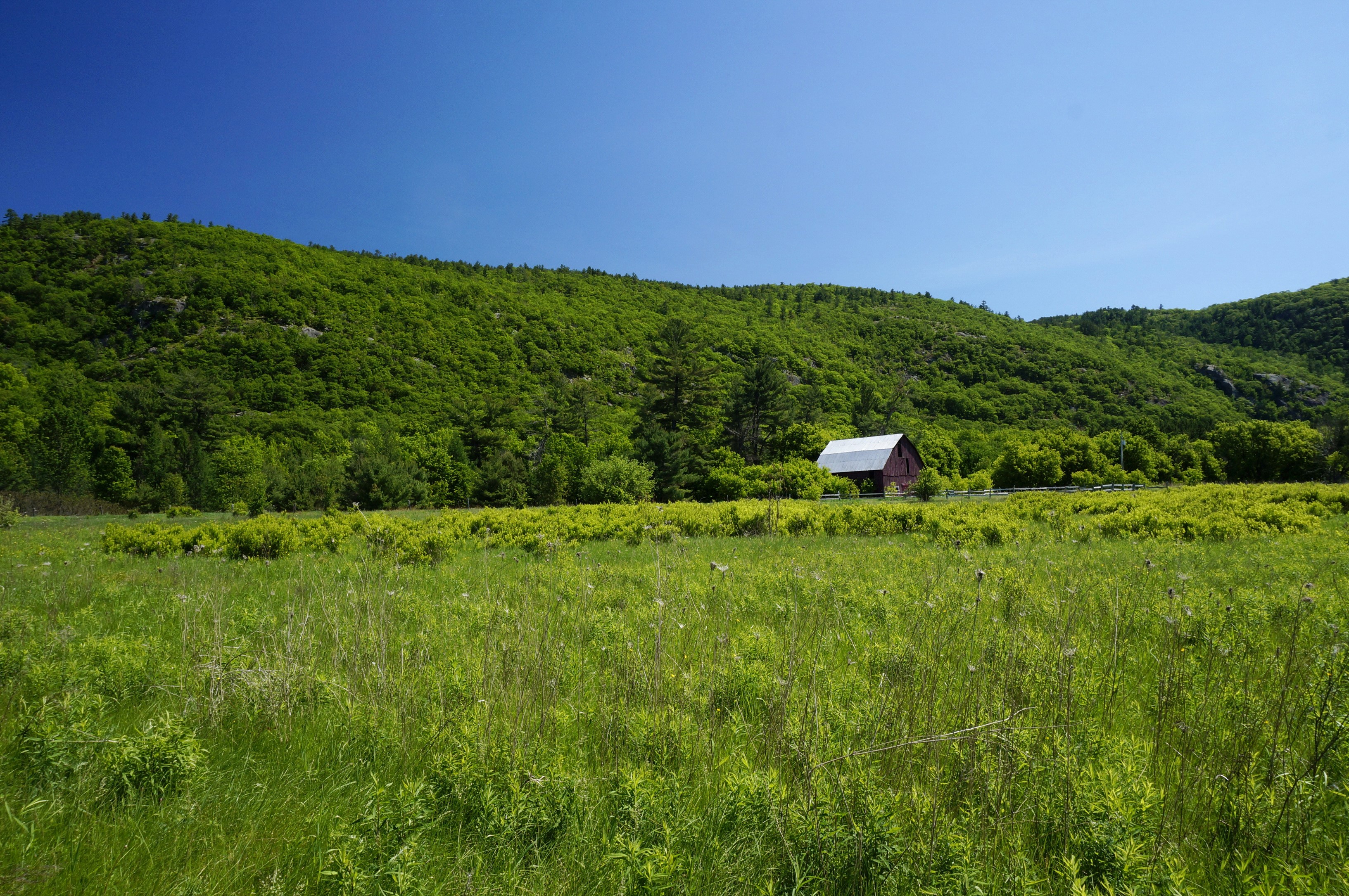 Red barn in a green field with a forested hill HD Wallpaper