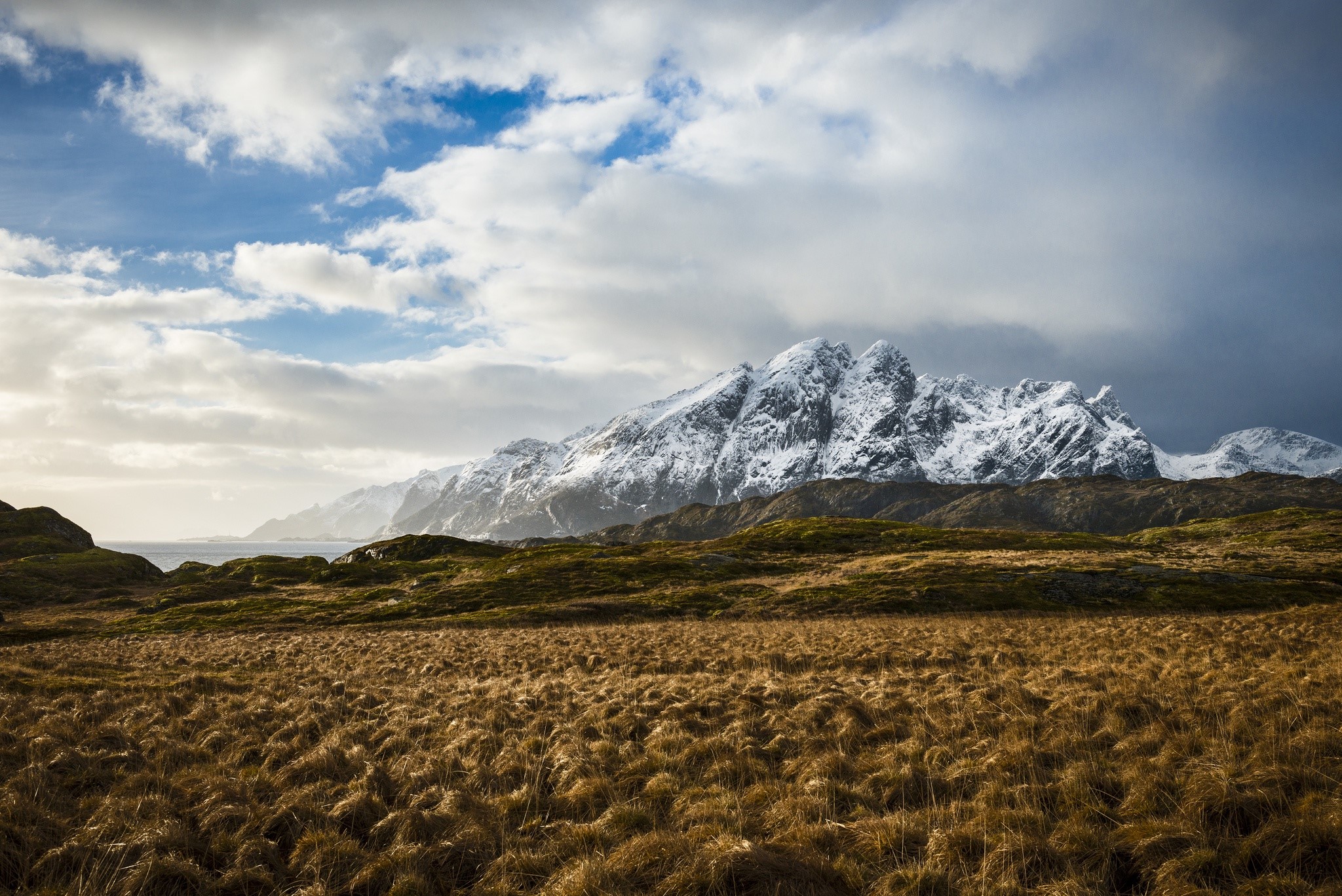 Snow-capped mountains over a grassy field and ocean HD Wallpaper