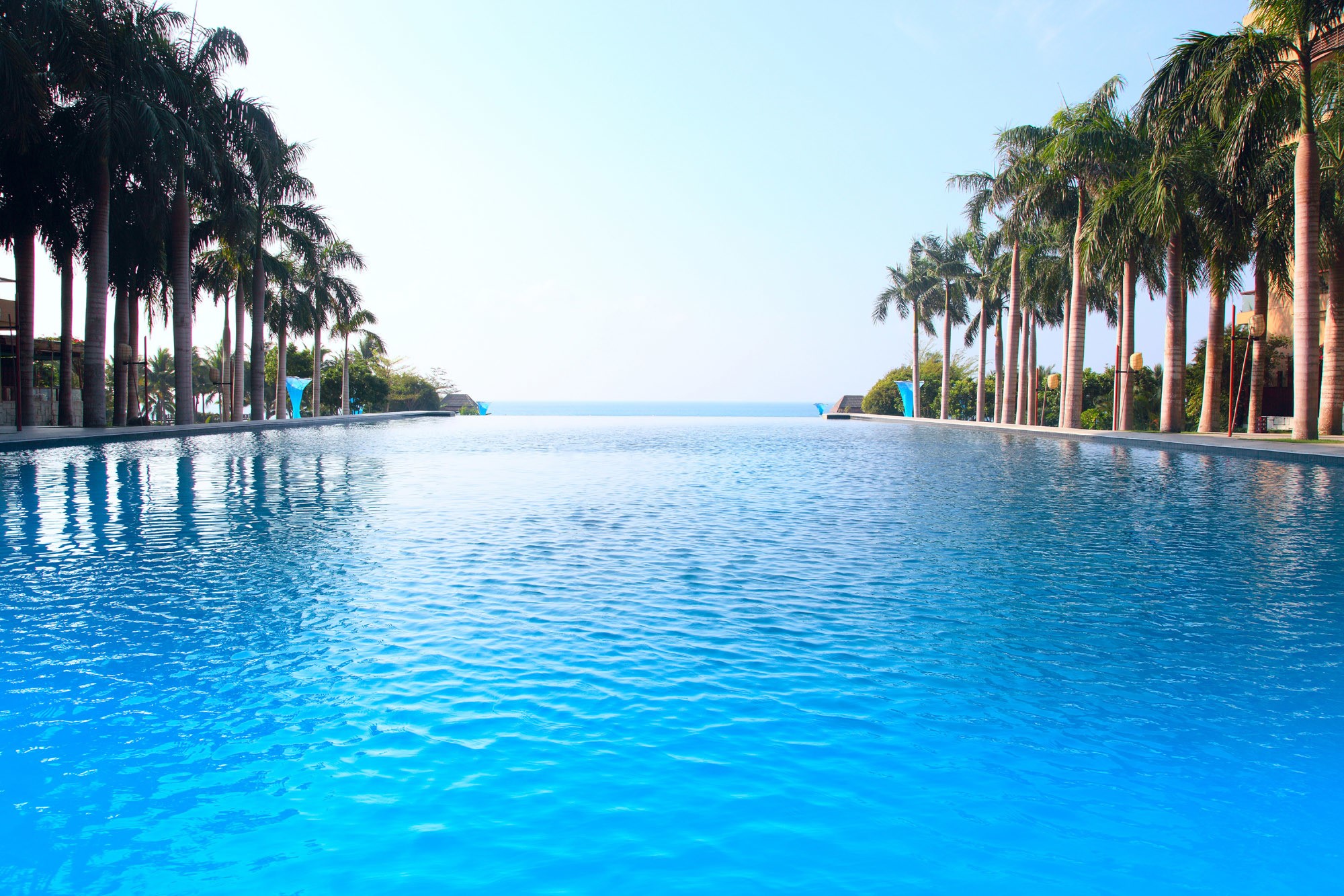 Infinity pool with palm trees and ocean view HD Wallpaper